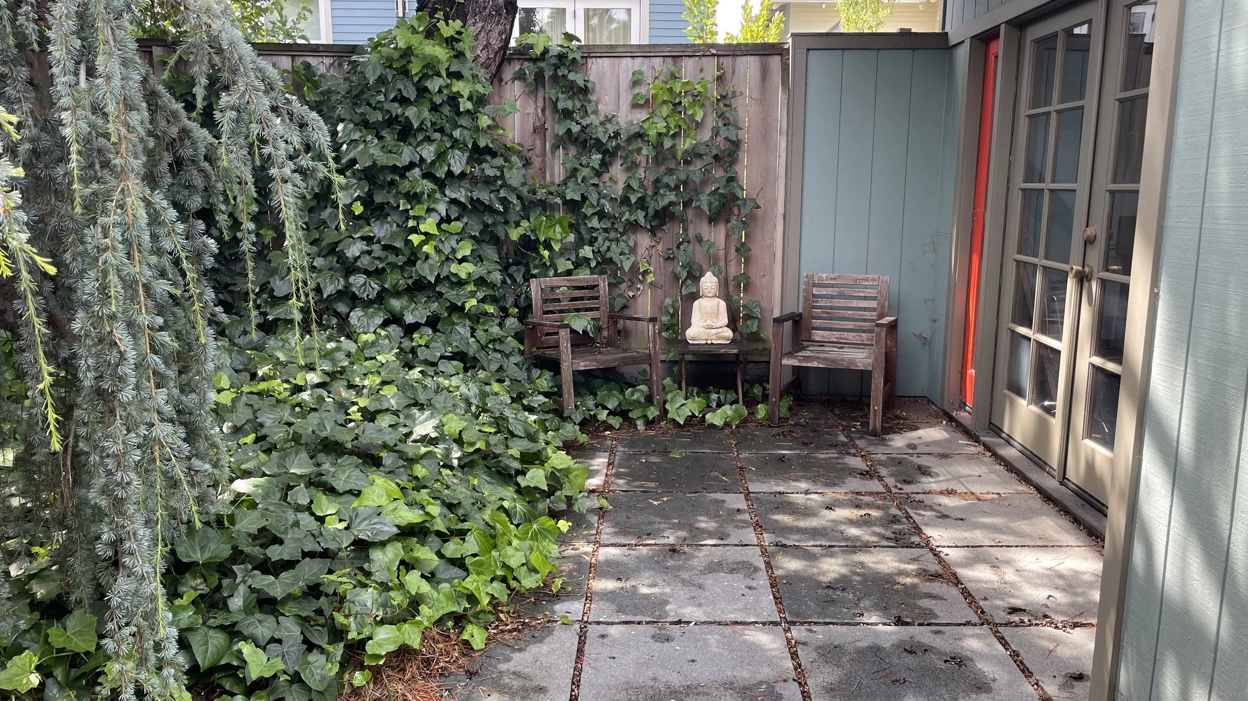 Outside Dr. Zeus's office. Small outdoor patio with two wooden chairs, a statue of Buddha, and green plants including ivy covering a fence and hanging over the patio.