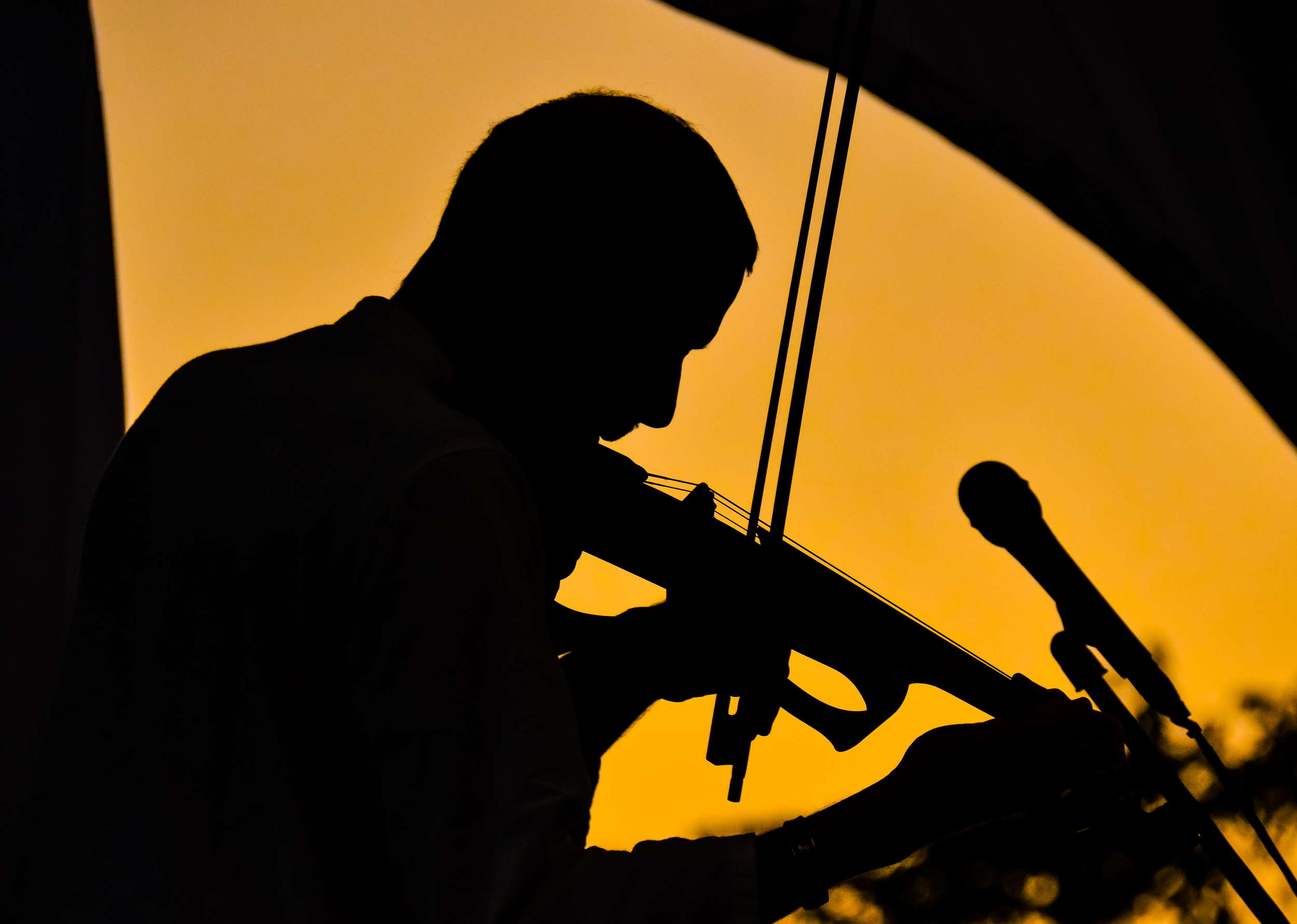 Dixon's Violin - orange silouette.png
