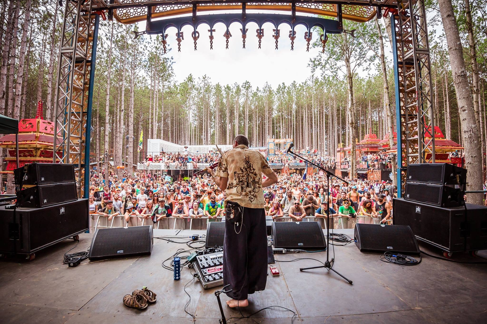 DV Observatory Electric Forest.jpg
