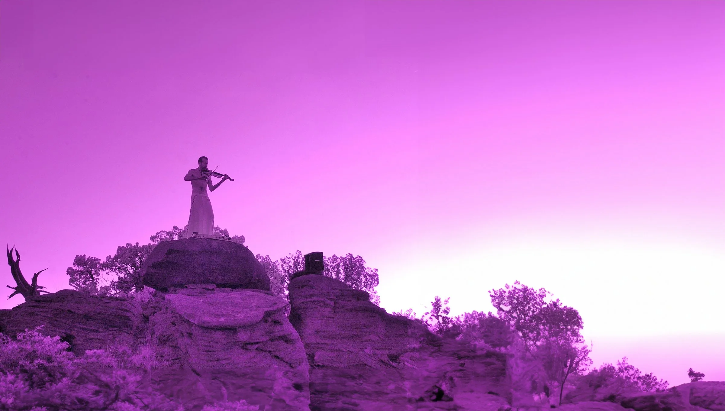 Dixon's Violin on Rock 2.jpg