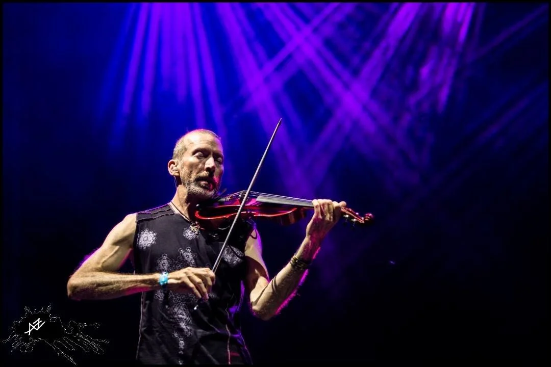 Dixon's Violin - lights from above.jpg