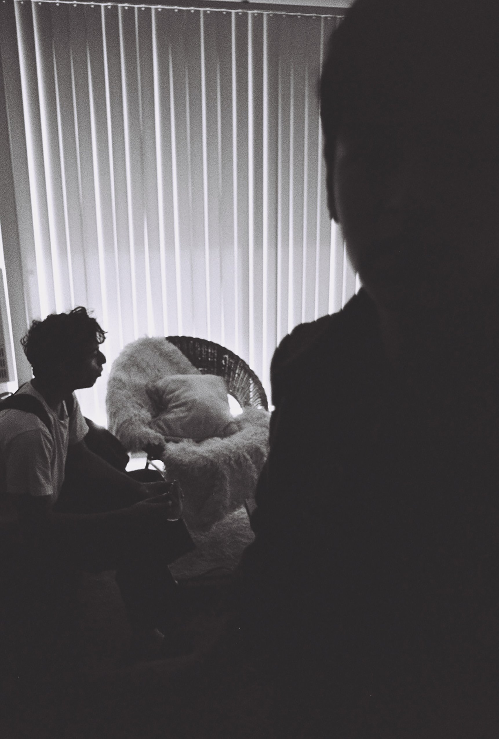 Johnny & Miguel, 2018