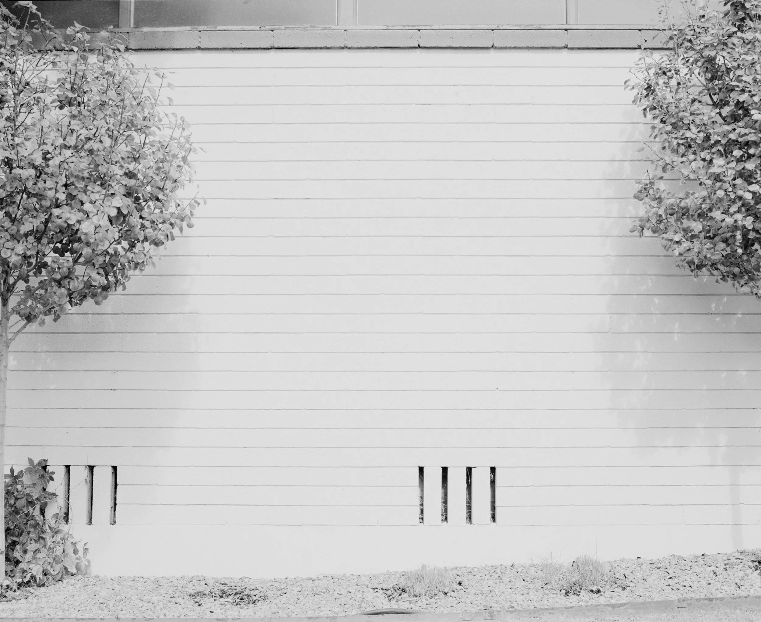 Stardust_Skies_Home_ABQ_2025_WORK copy.jpg