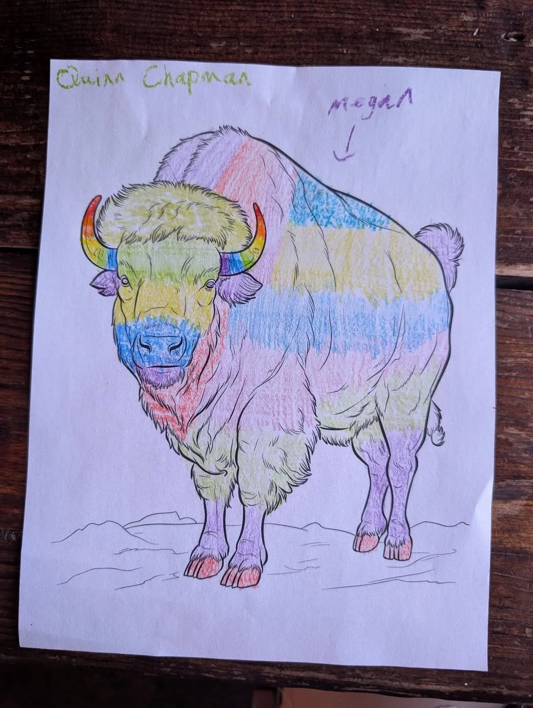 🌈Happy Pride Month to all those celebrating in our community!🌈 Please enjoy Megan, the rainbow bison, colored (unprompted) by my daughter, Quinn!
#pridemonth