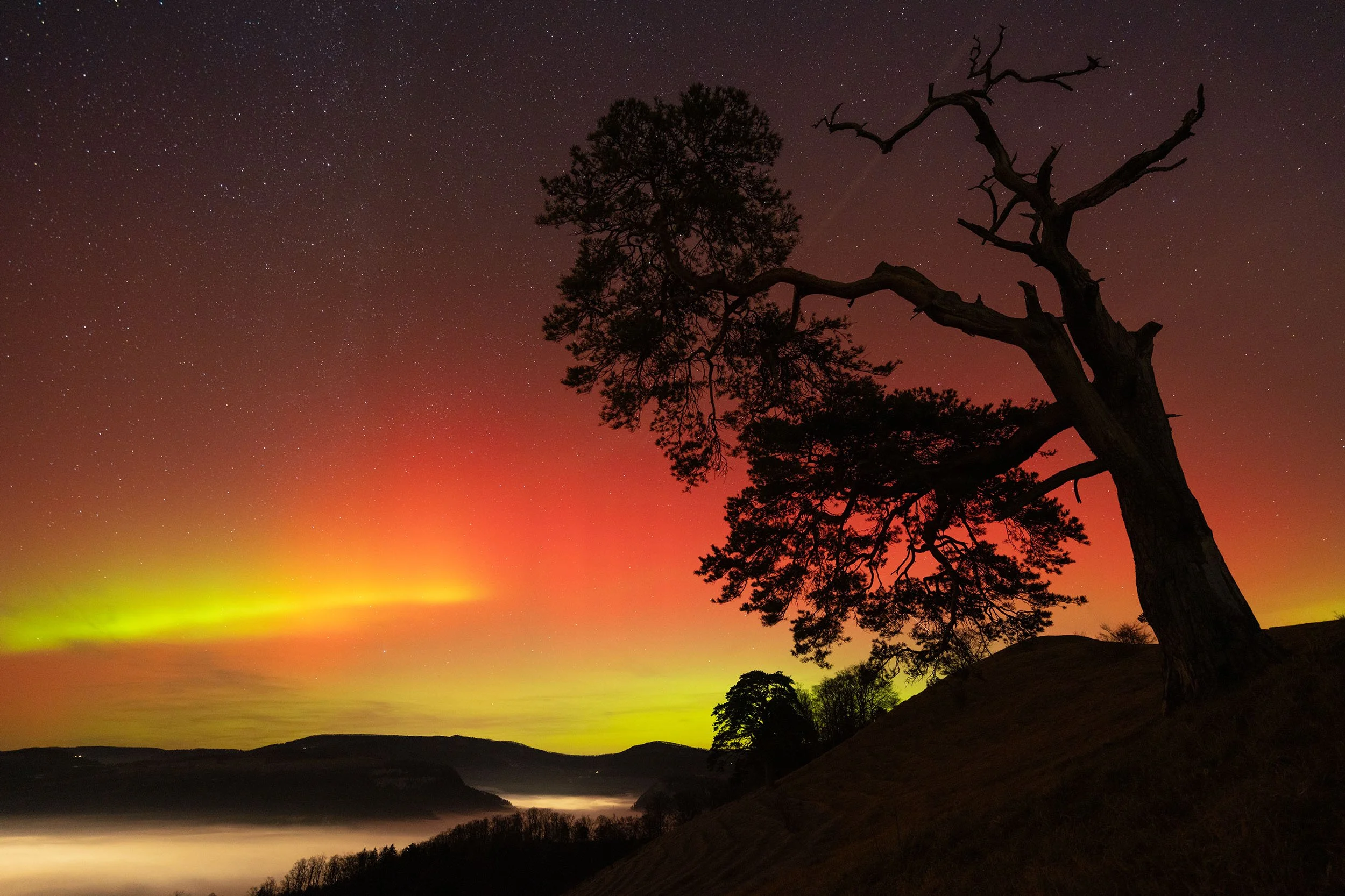 Nordlichter über dem Naturpark Thal - Fine Art