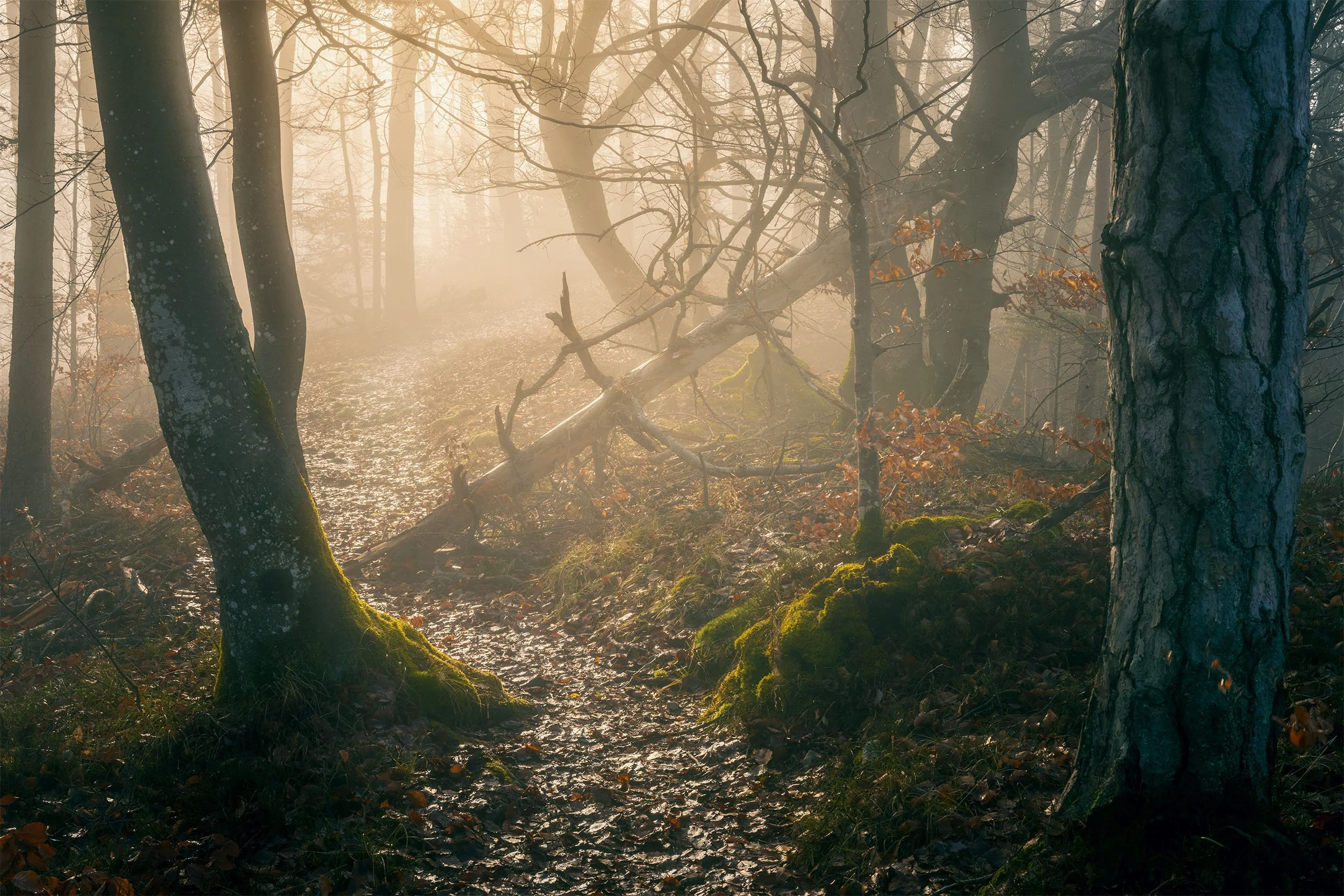 Die Schwelle in die andere Welt - Naturpark Thal