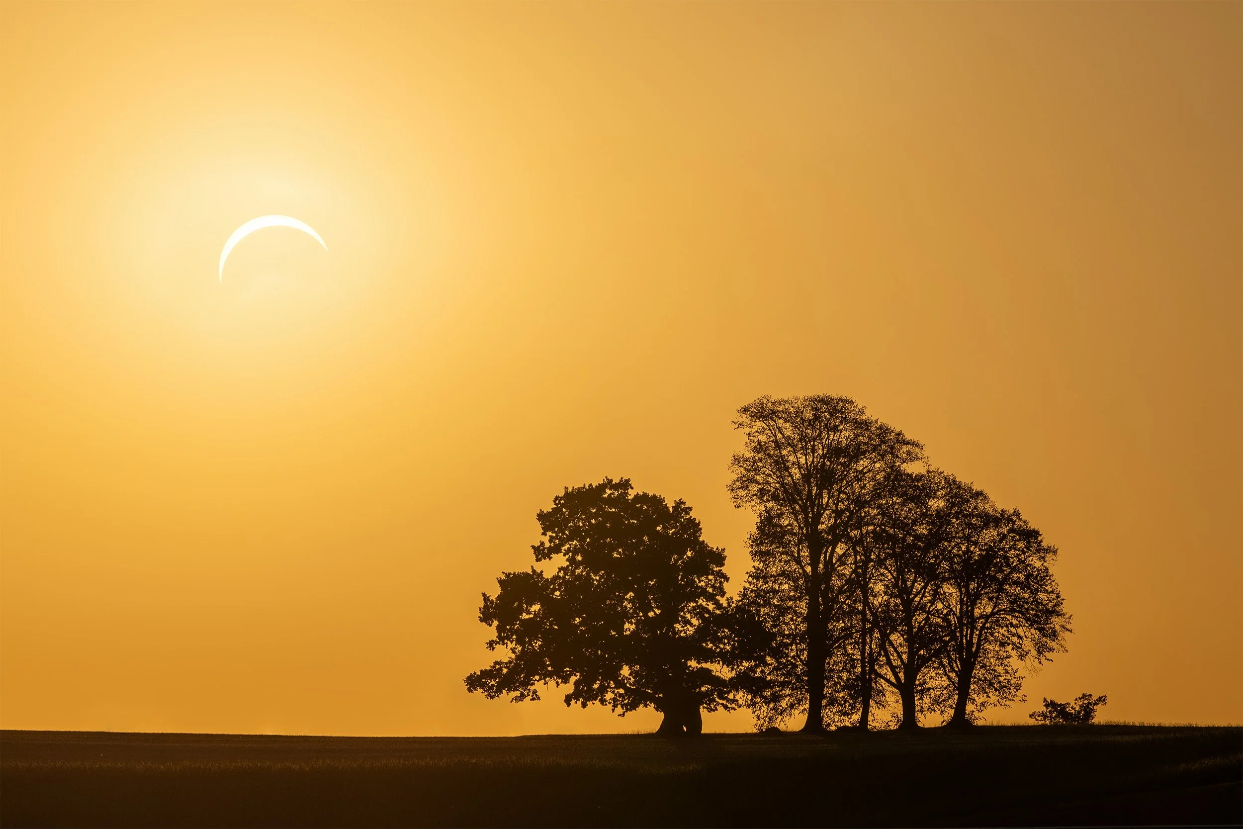 Sonnenfinsternis 2026 im Naturpark Thal - Mümliswil - Wandbild