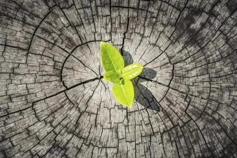 Tú eres mucho más fuerte que las circunstancias