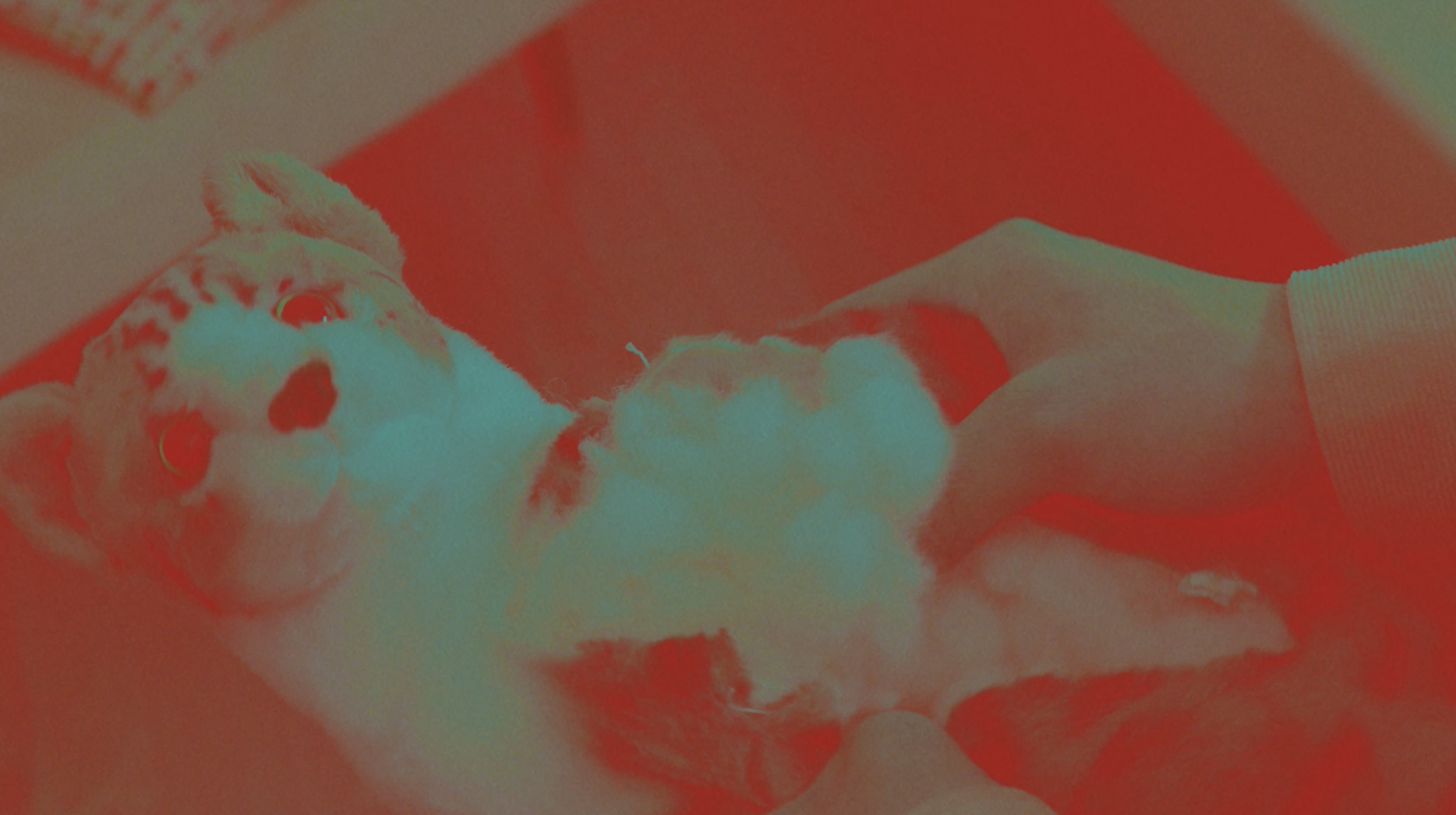 Screenshot 2026-01-15 at 11.00.09 PM.png