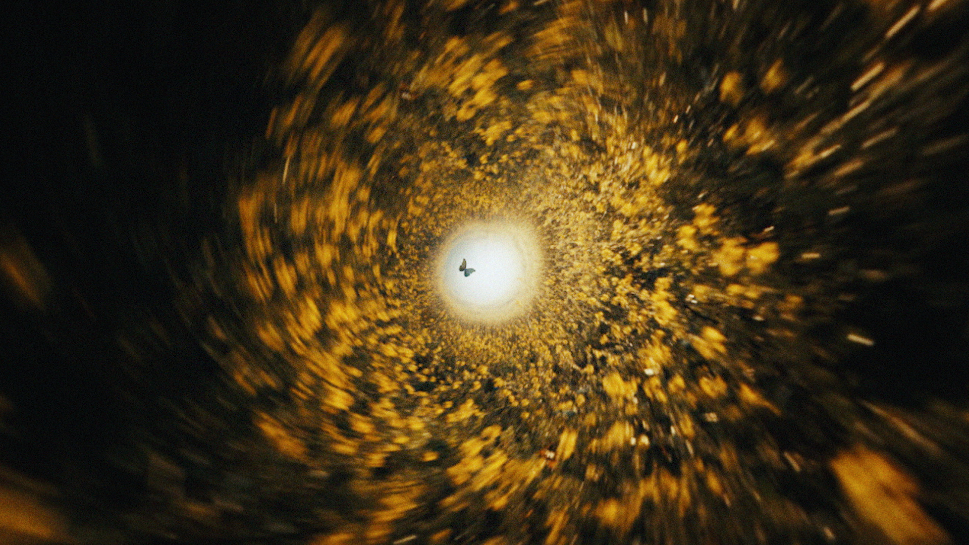 veolia_00090011.png