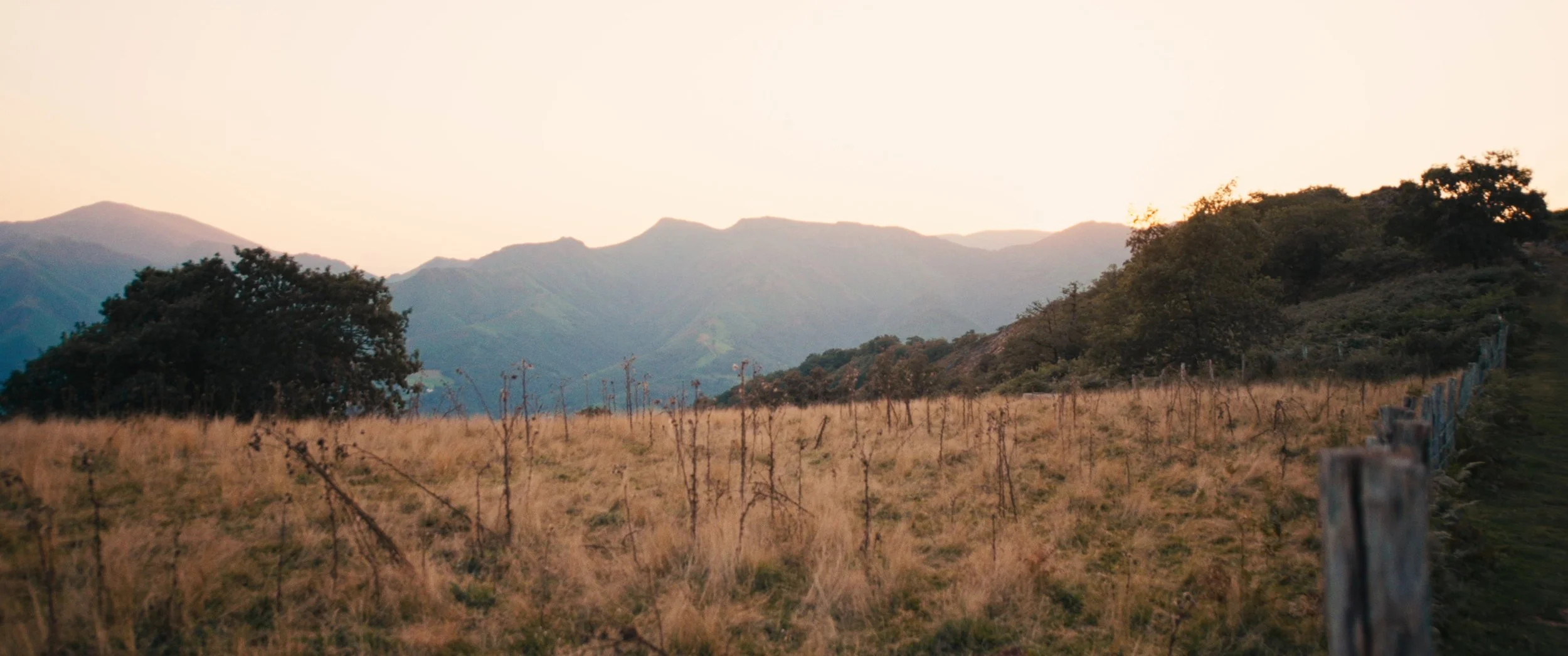 PRLCY-AD_EXP-ETALO_V03_00000005.jpg