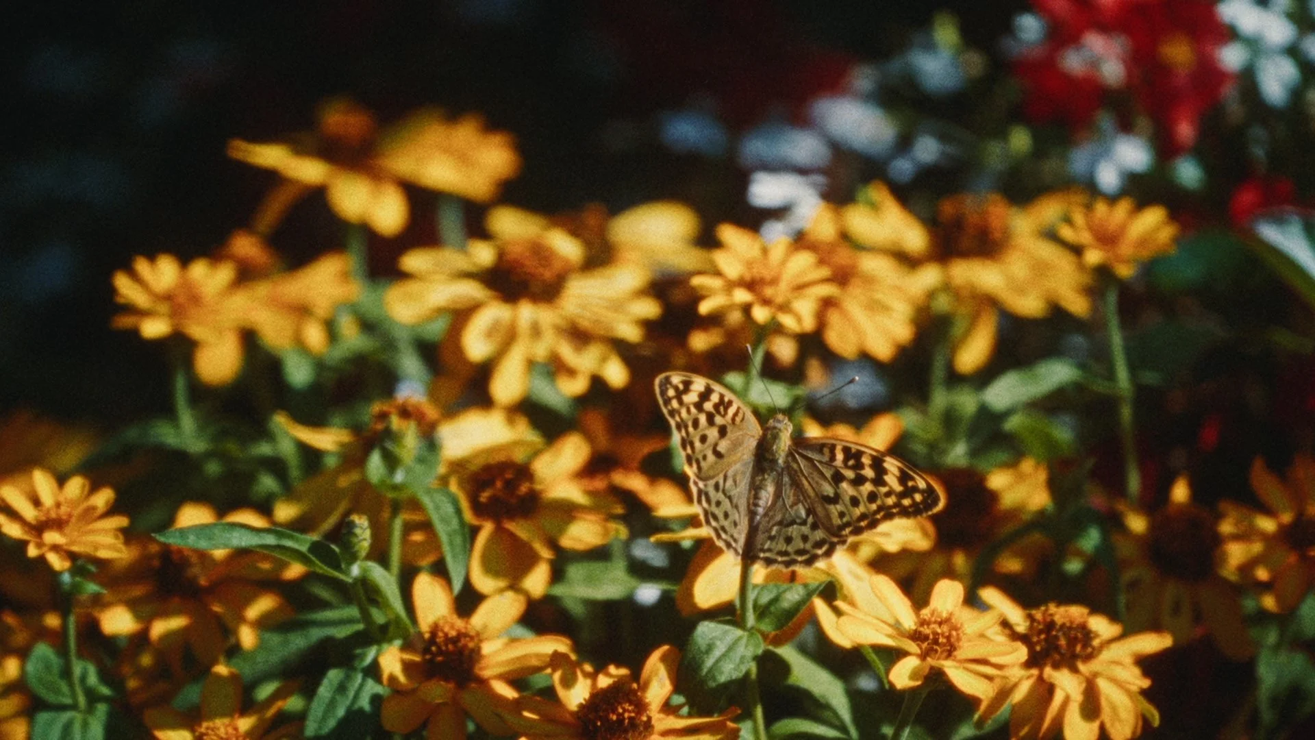 e-methieu-00090013.jpg