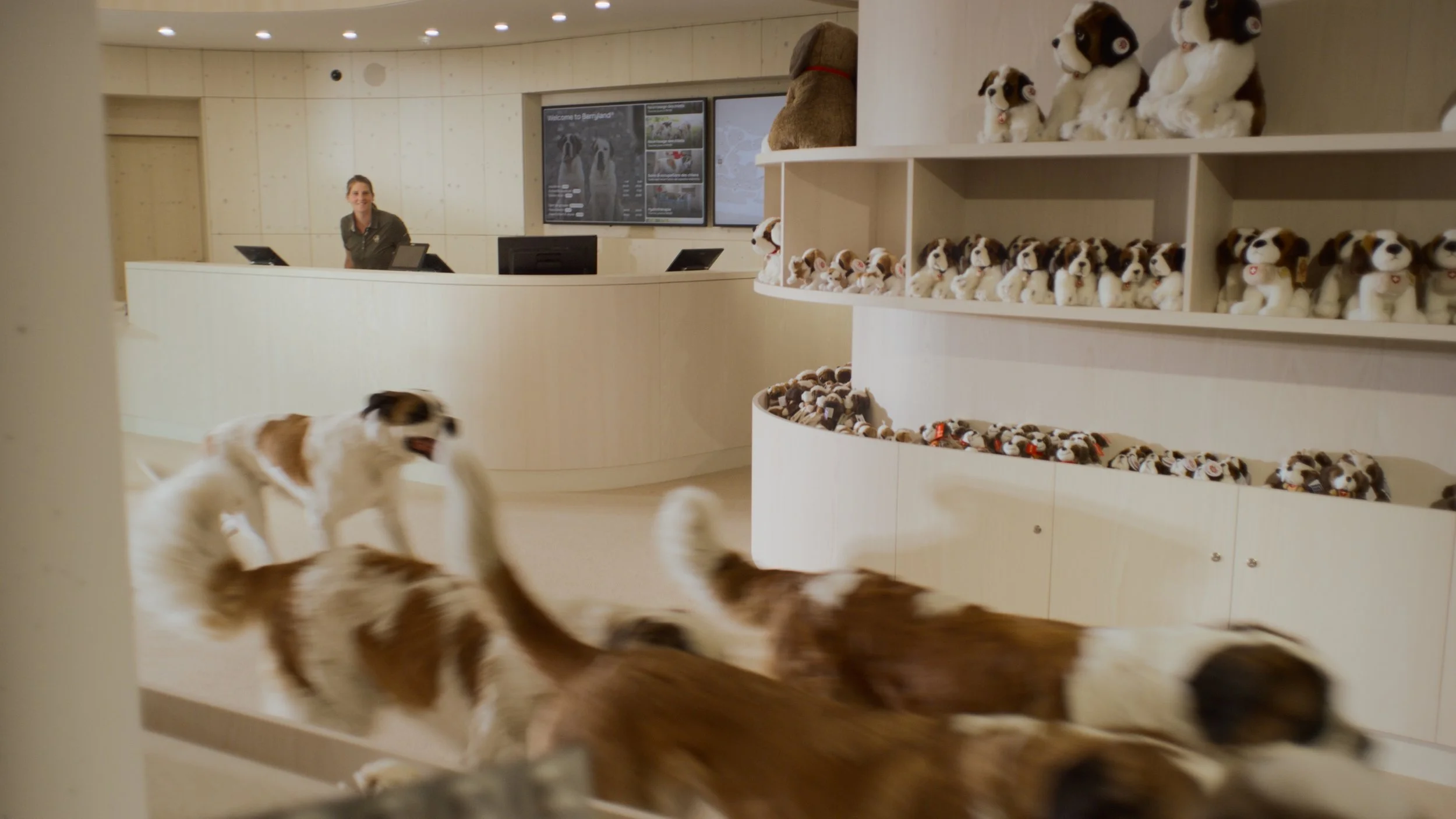 Still 2025-08-04 121241_1.4.1.jpg