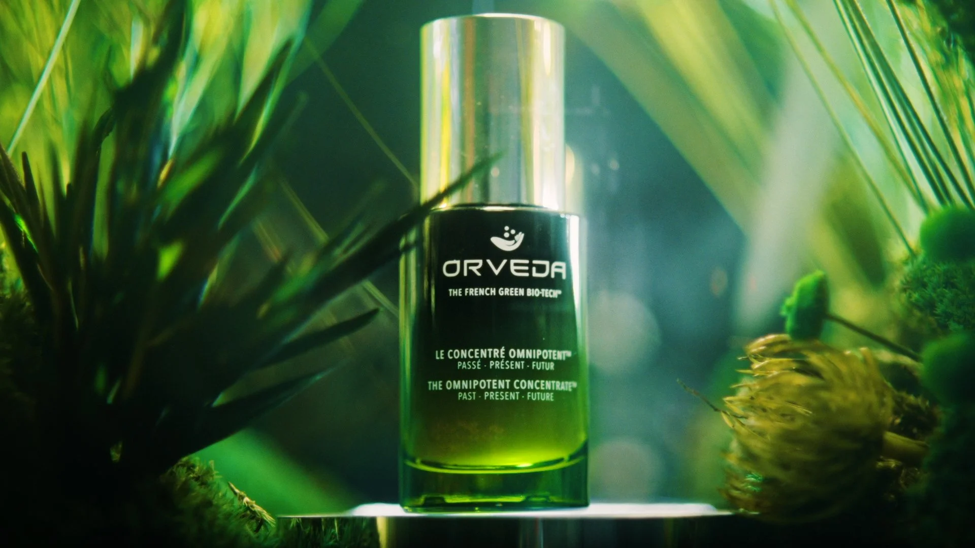 orveda00090001.jpg