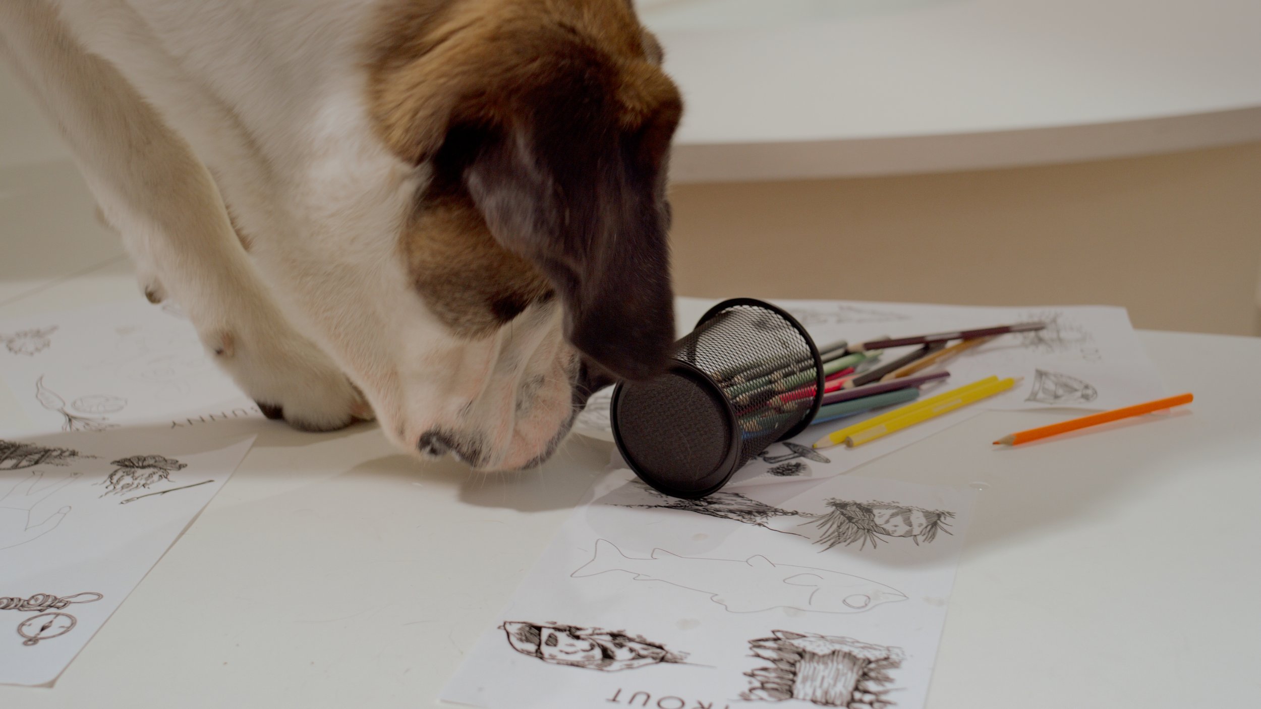 Still 2025-08-04 121241_1.7.2.jpg