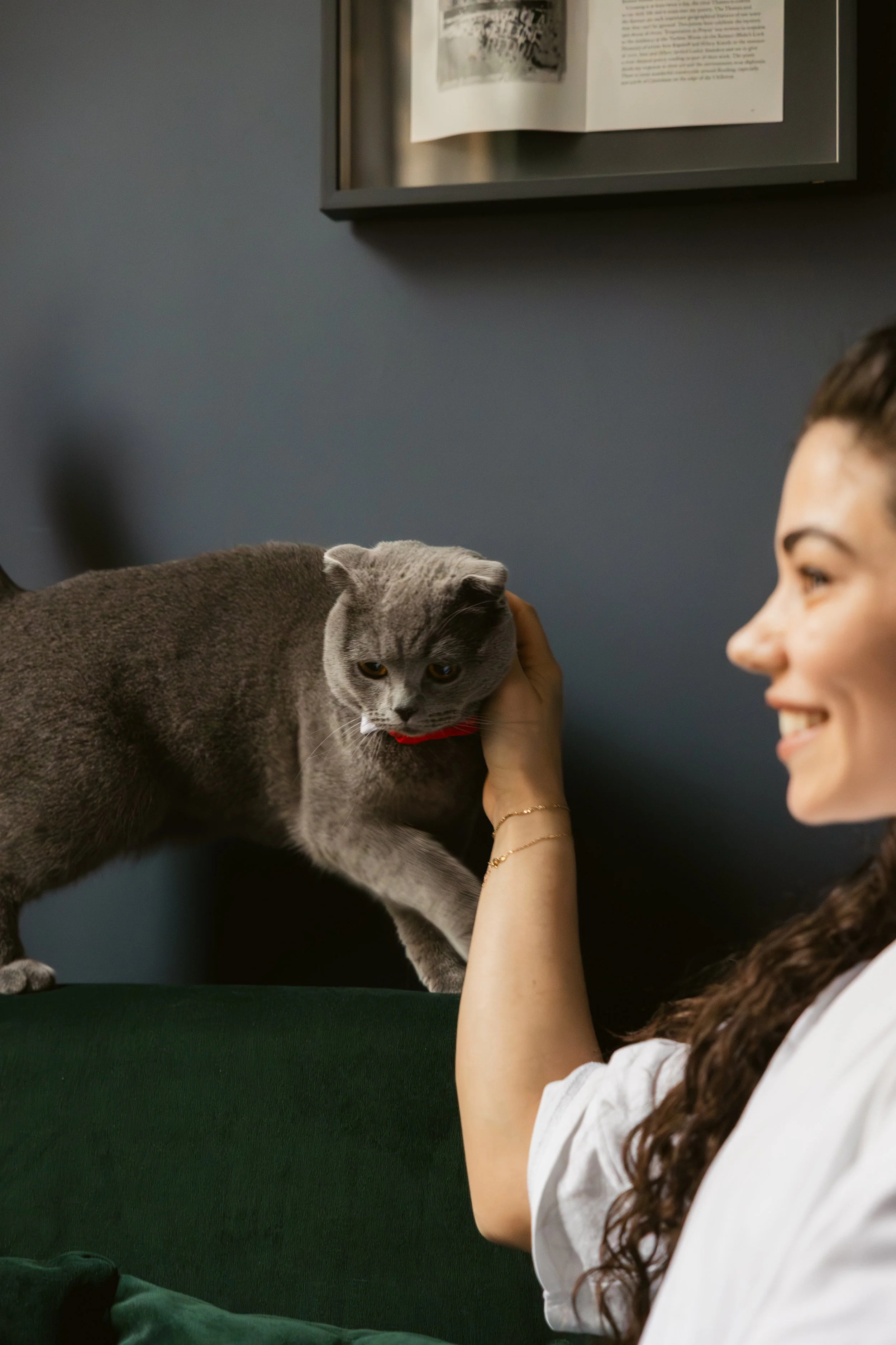 A woman playing with a gray cat on a dark green surface, with a framed picture on a dark blue wall in the background.