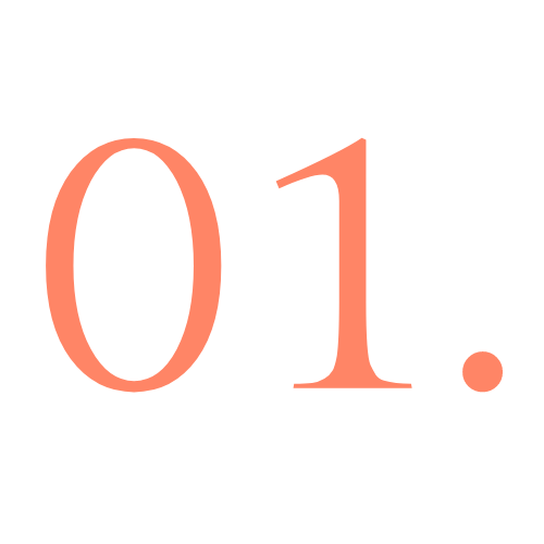 shawnta hooks speaker 01.png