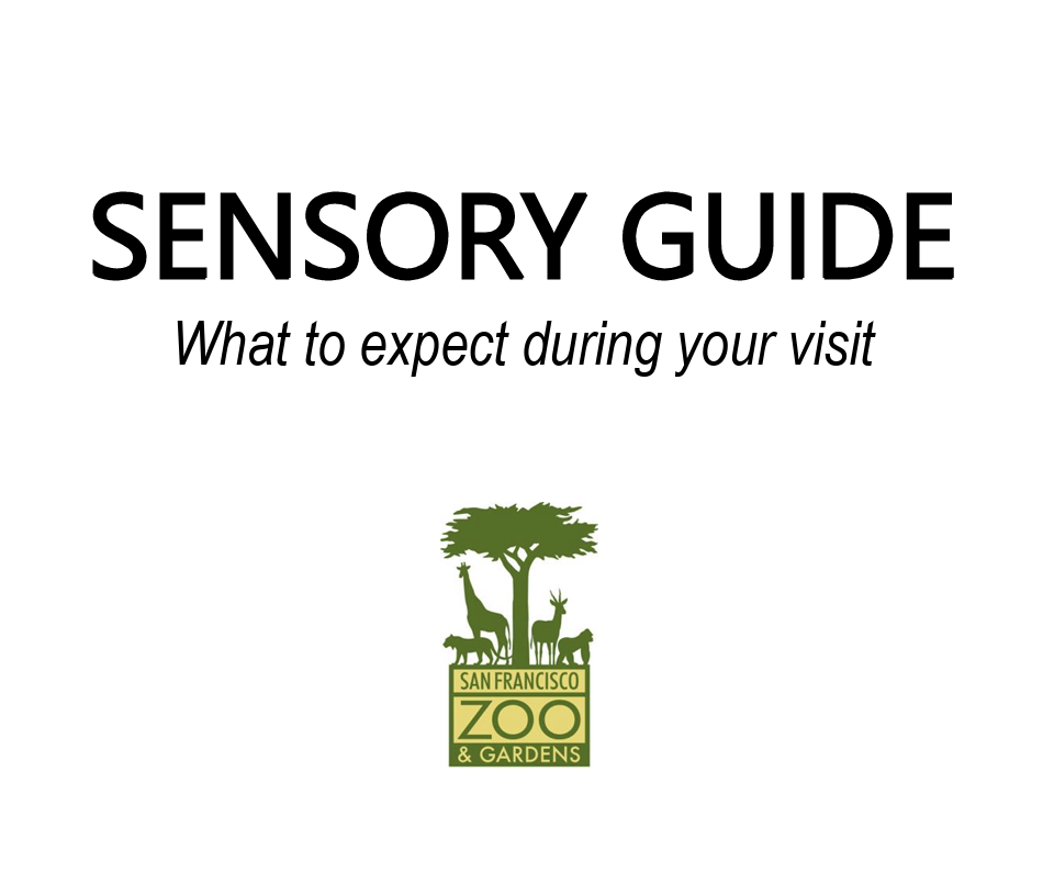 Celebrating Neurodiversity in Our Community