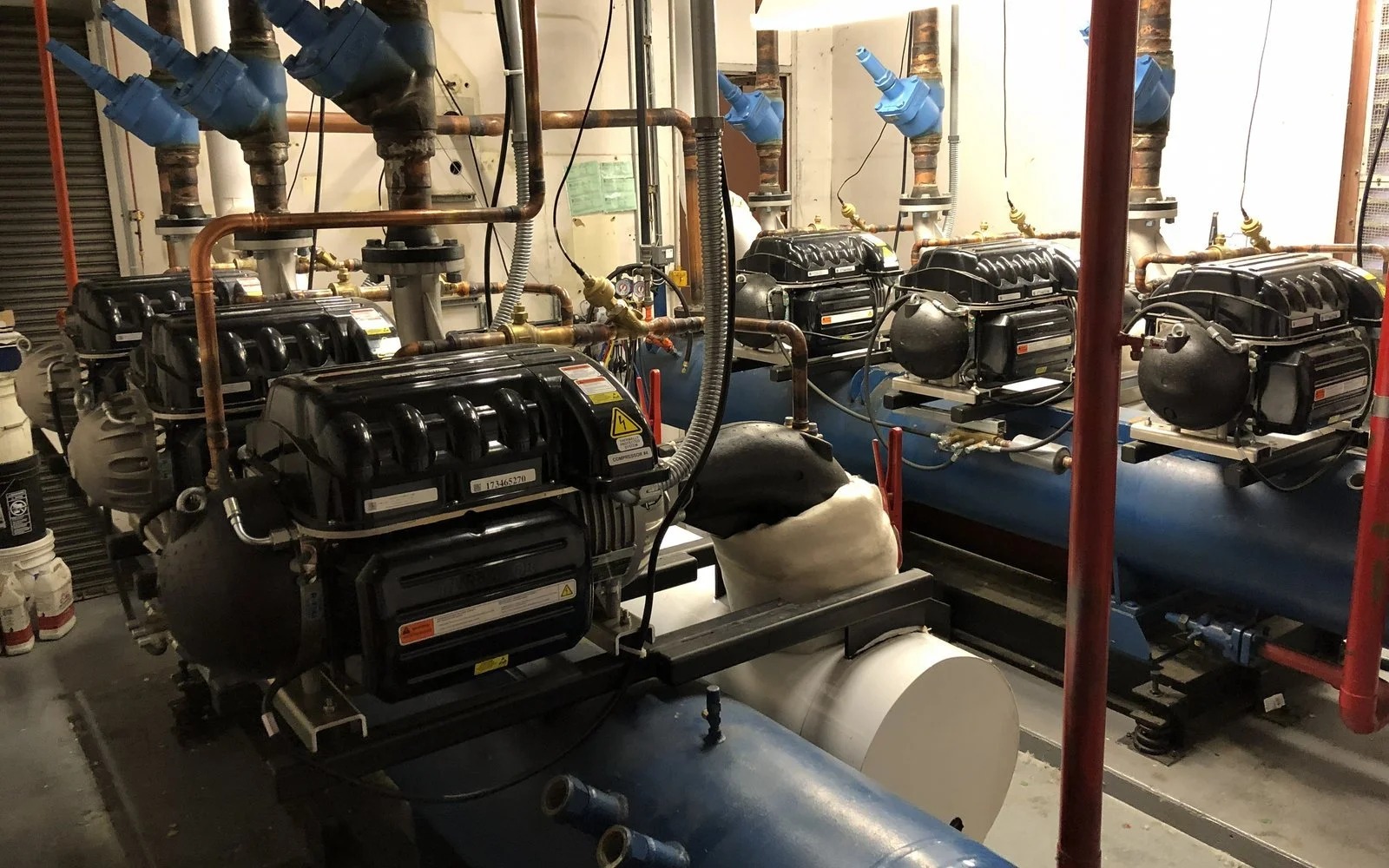 A bank of semi-hermetic compressors on blue receivers in a refrigeration plant room, with red standpipes running floor to ceiling