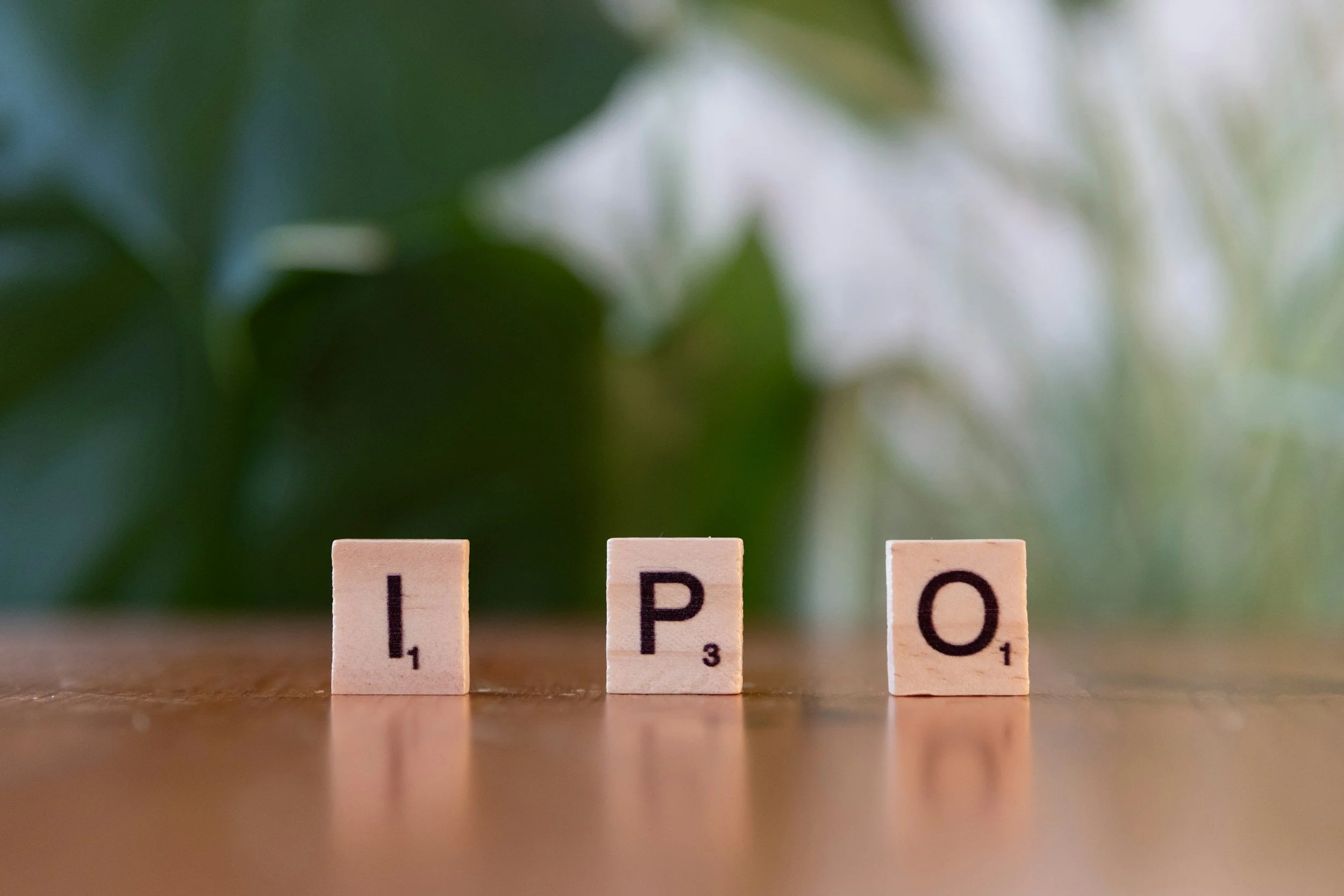 The IPO Wave of 2026