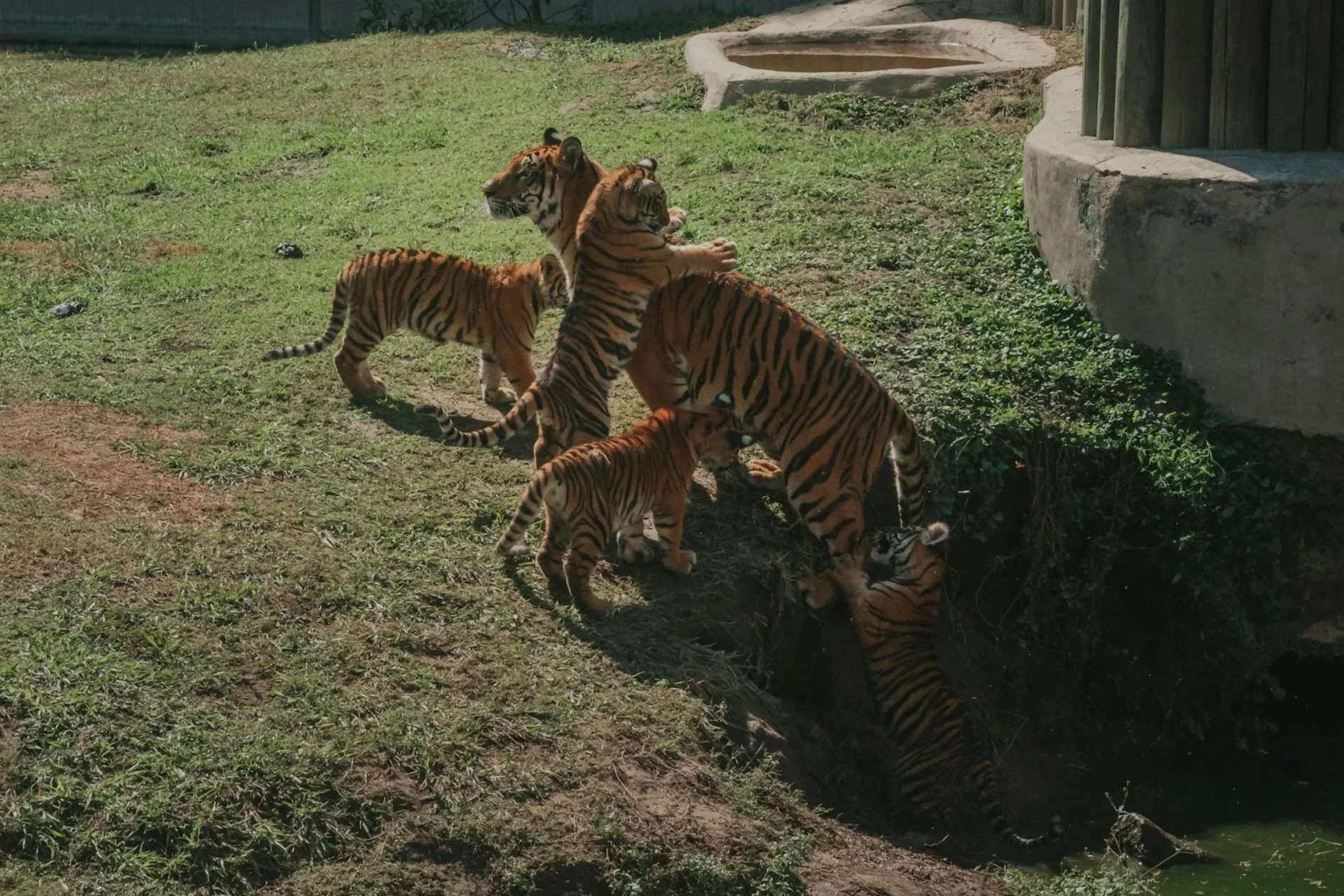 Guidepost 7 — Cultivating Play and Rest: Letting Go of Exhaustion as a Status Symbol and Productivity as Self-Worth