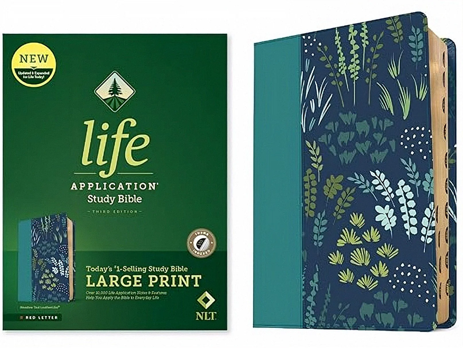 Life Application Study Bible - Teal