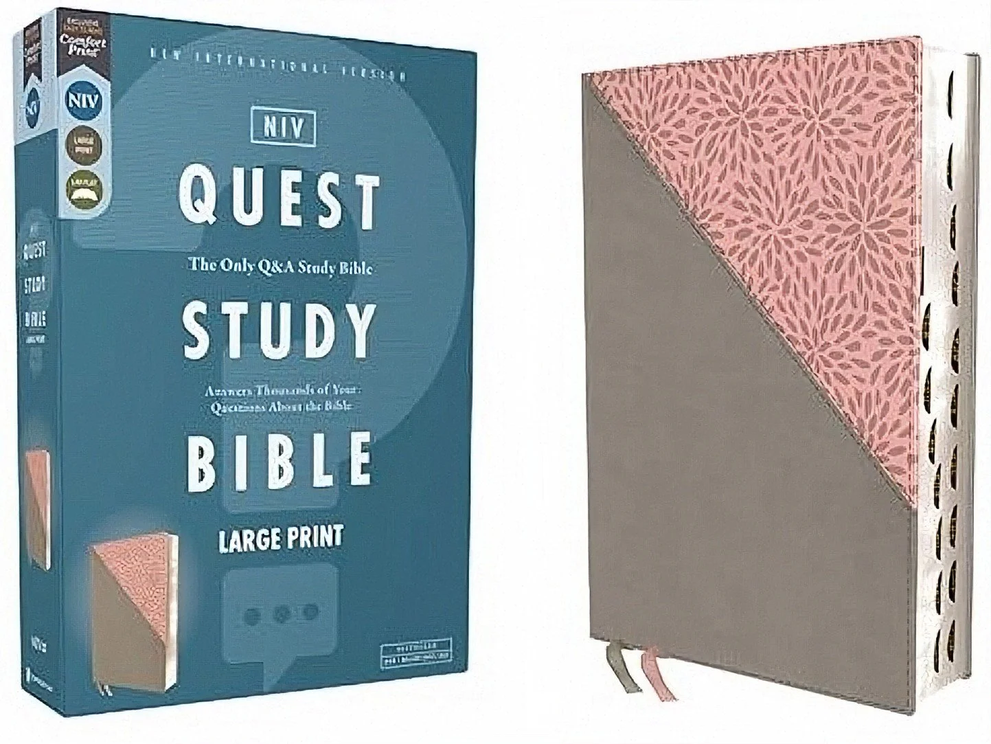 NIV Quest Study Bible - Pink Gray