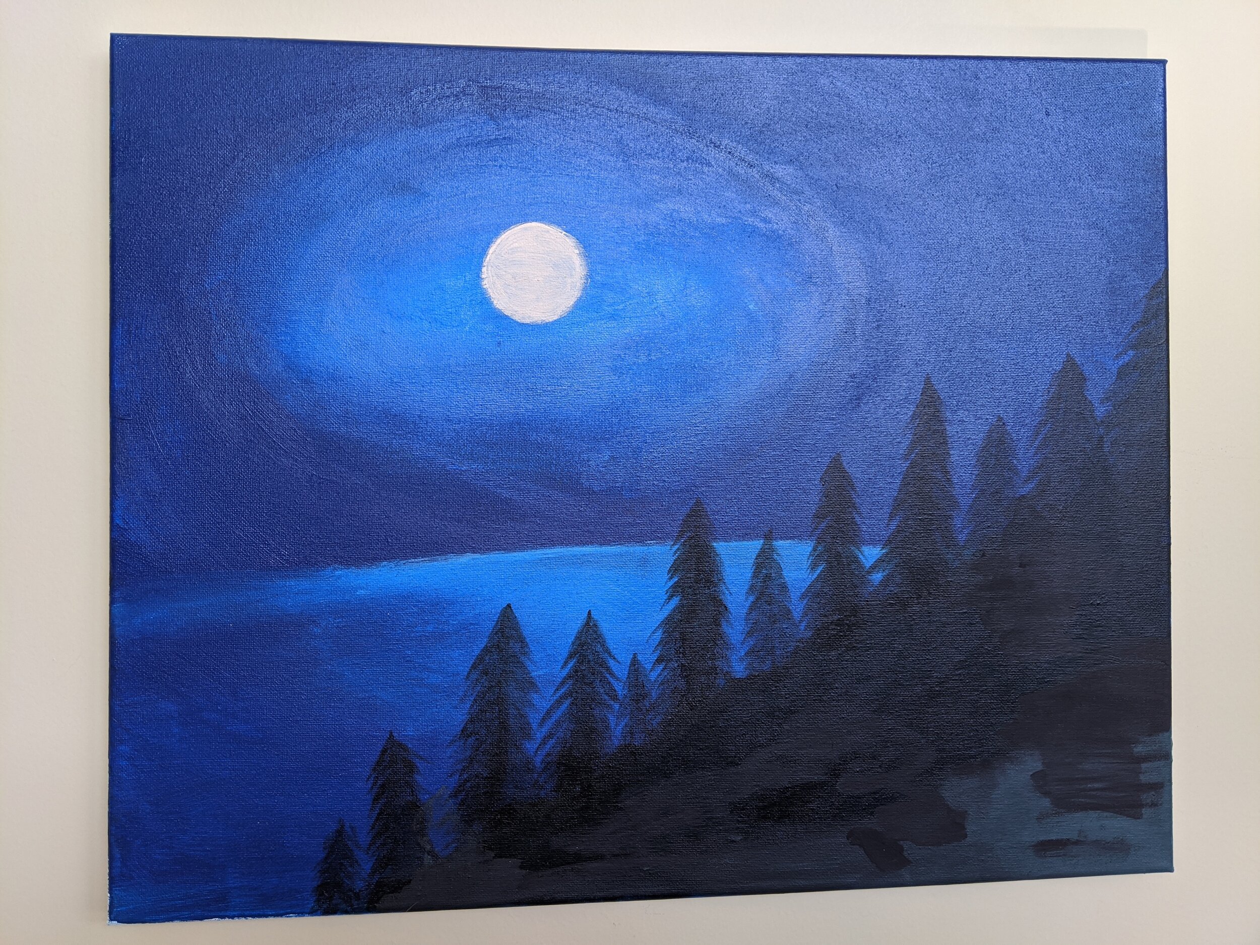 Ruhi's art
