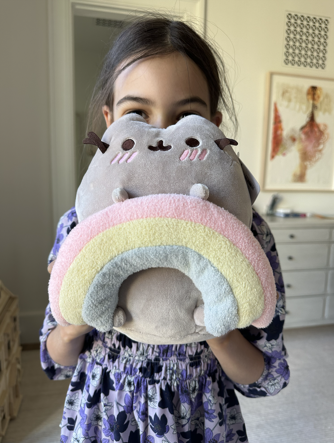Rania's Rainbow Pusheen