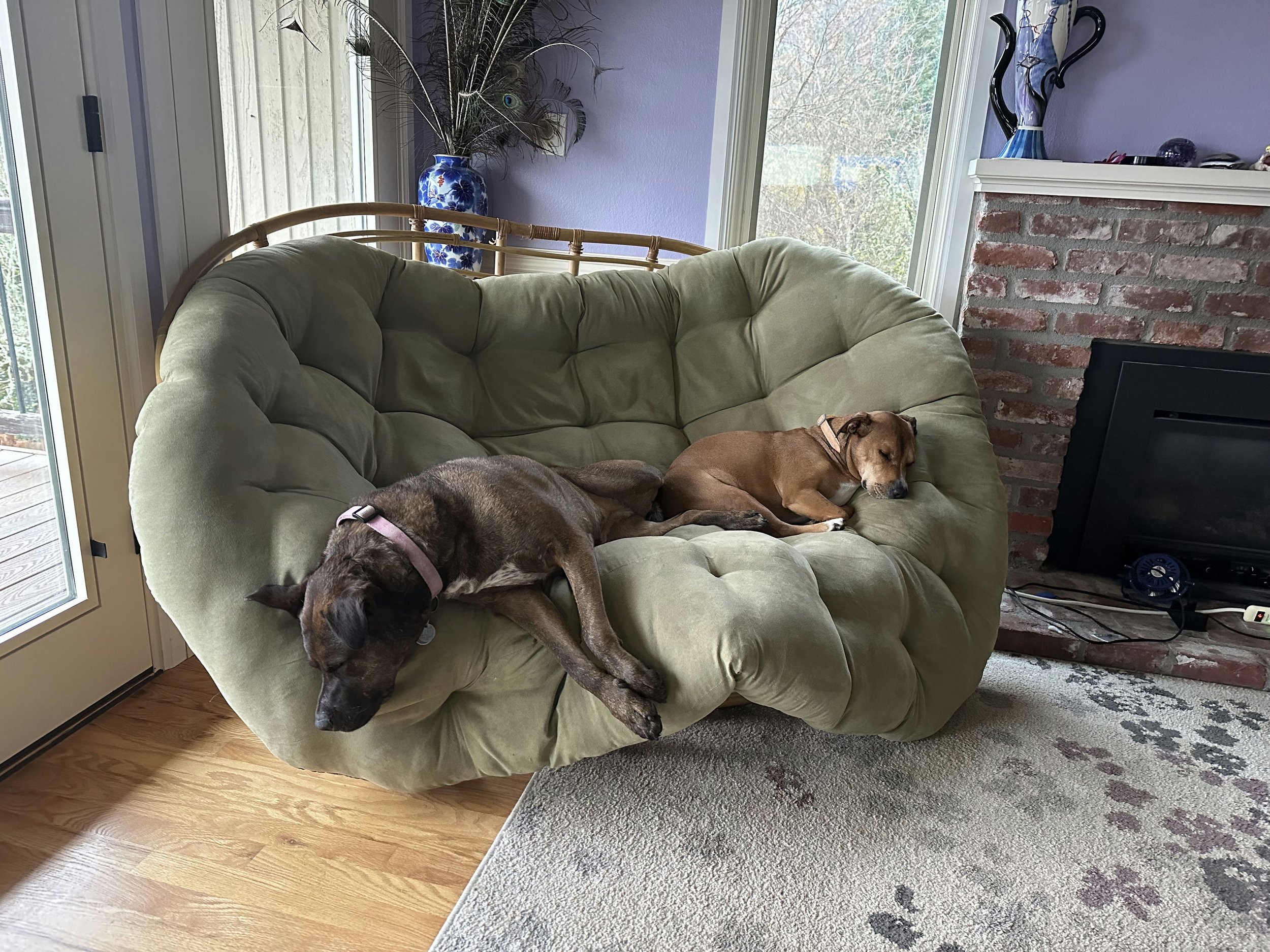 KK's Dogs Duchess and PaiGow