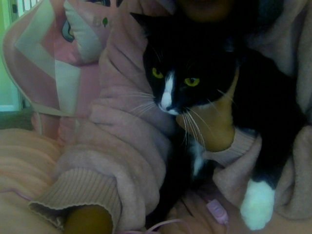 Janiyah's Cat Ninja