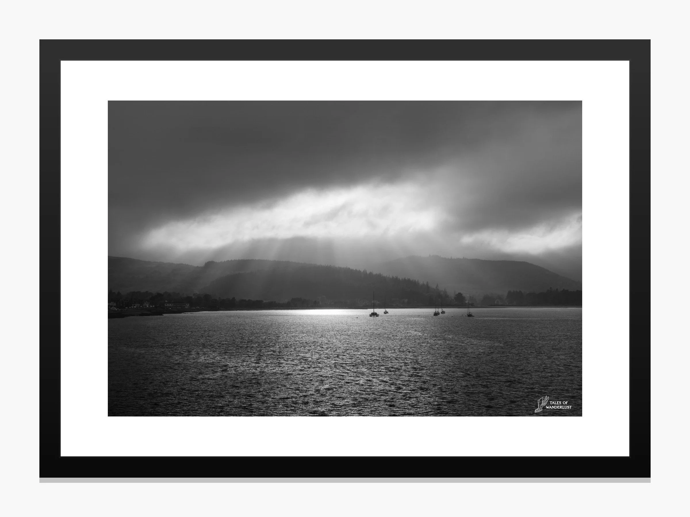 Light Amidst Shadows