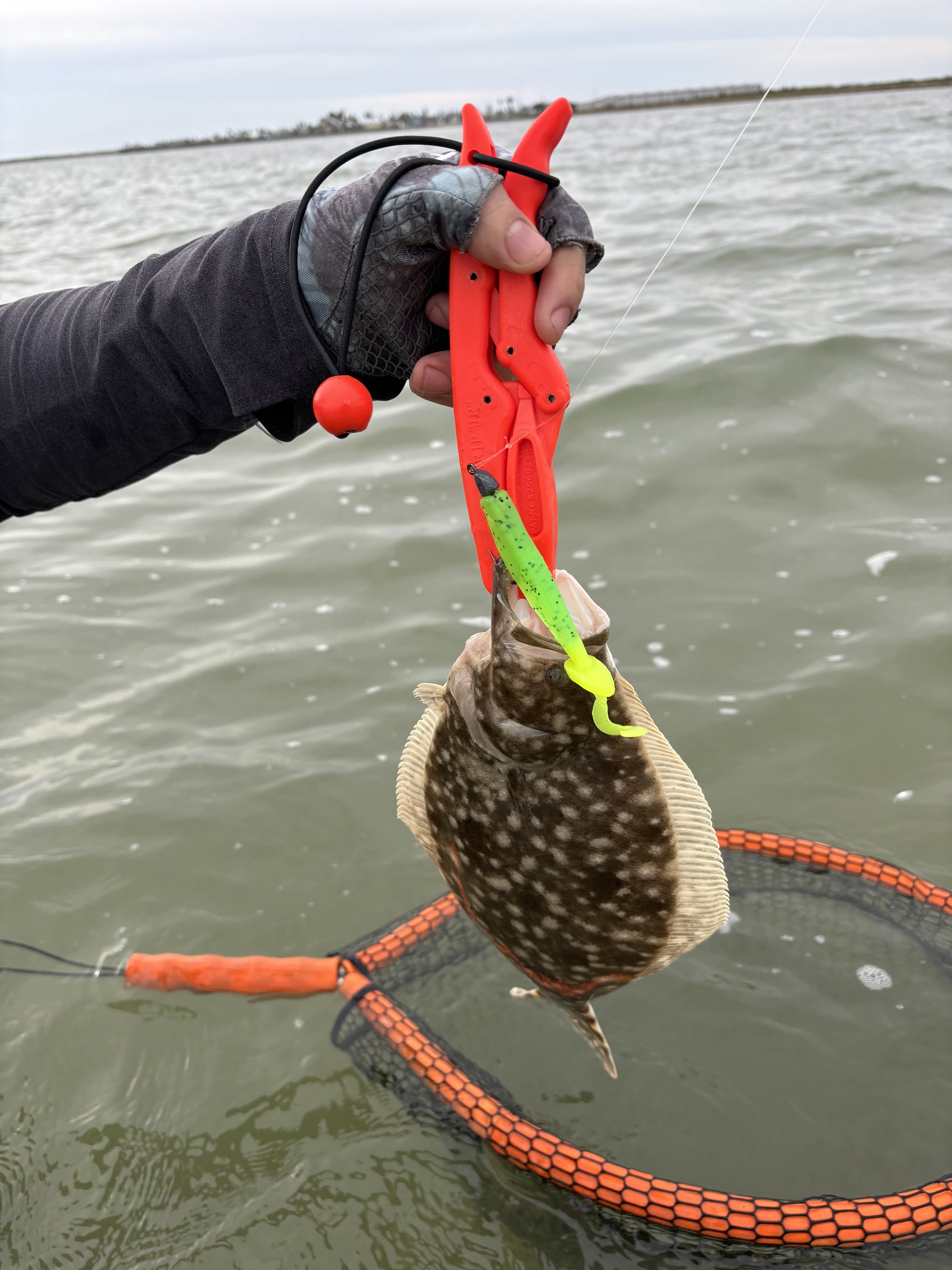 Laguna flounder.jpg
