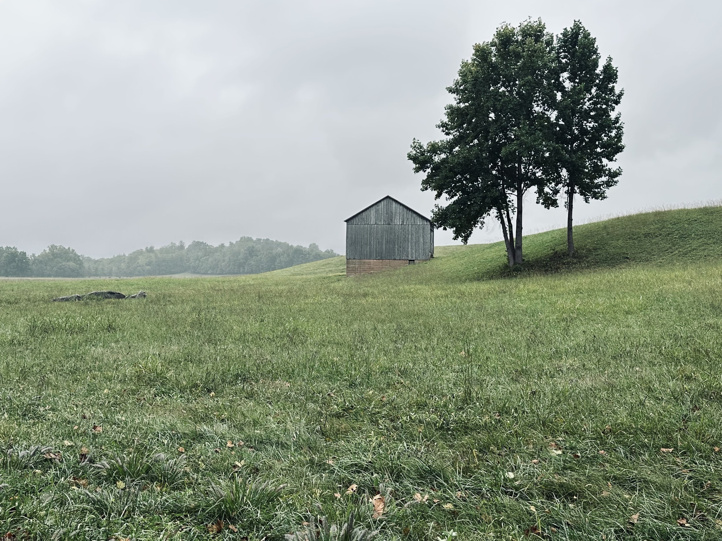 An old, grey barn in an open field with two tall trees in Ethan, VA