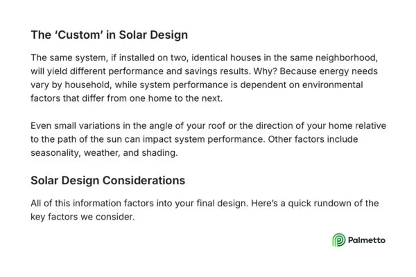 Palmetto support excerpt design.jpg