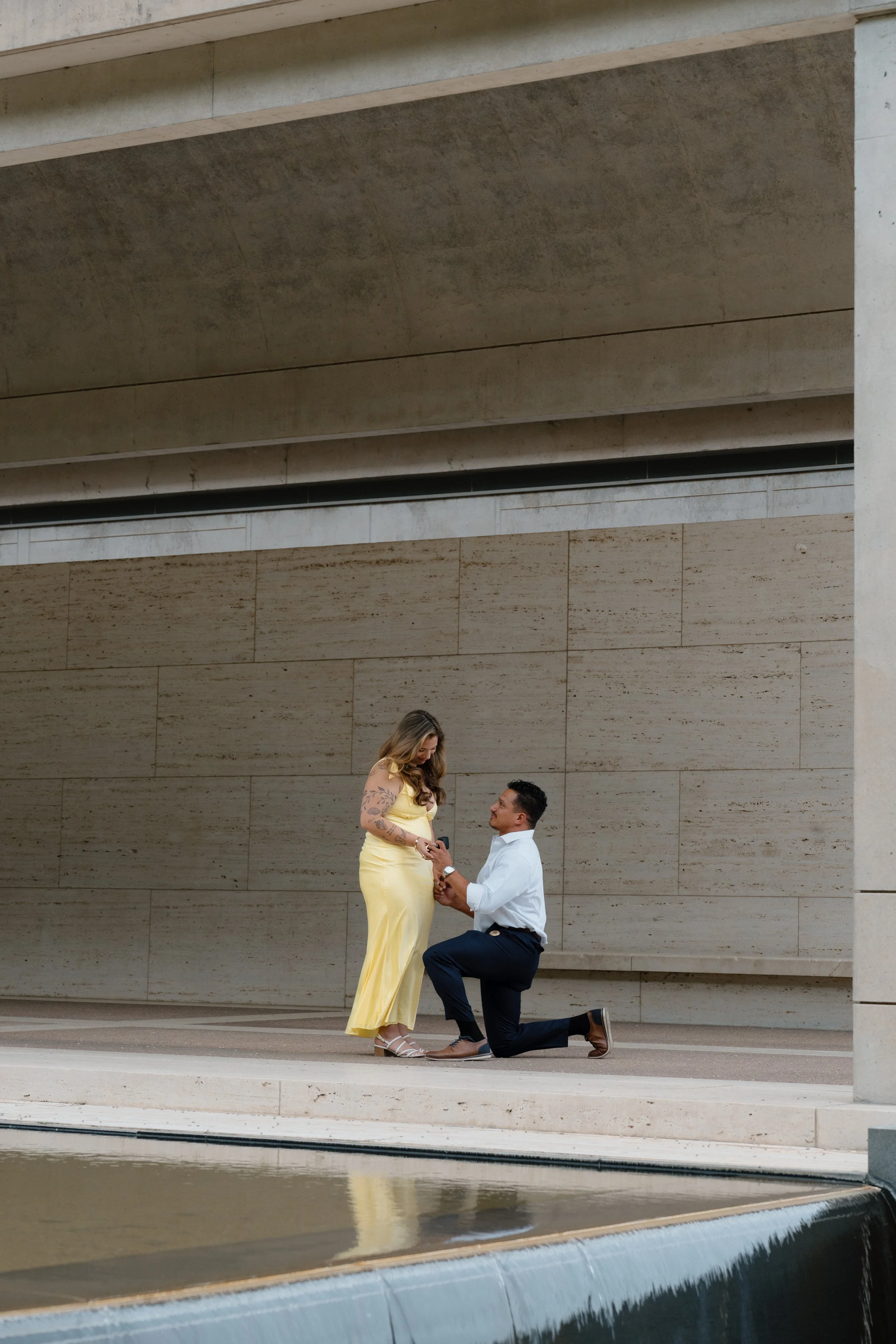 Kimbell-Art-Museum-Fort-Worth-Proposal6.jpg