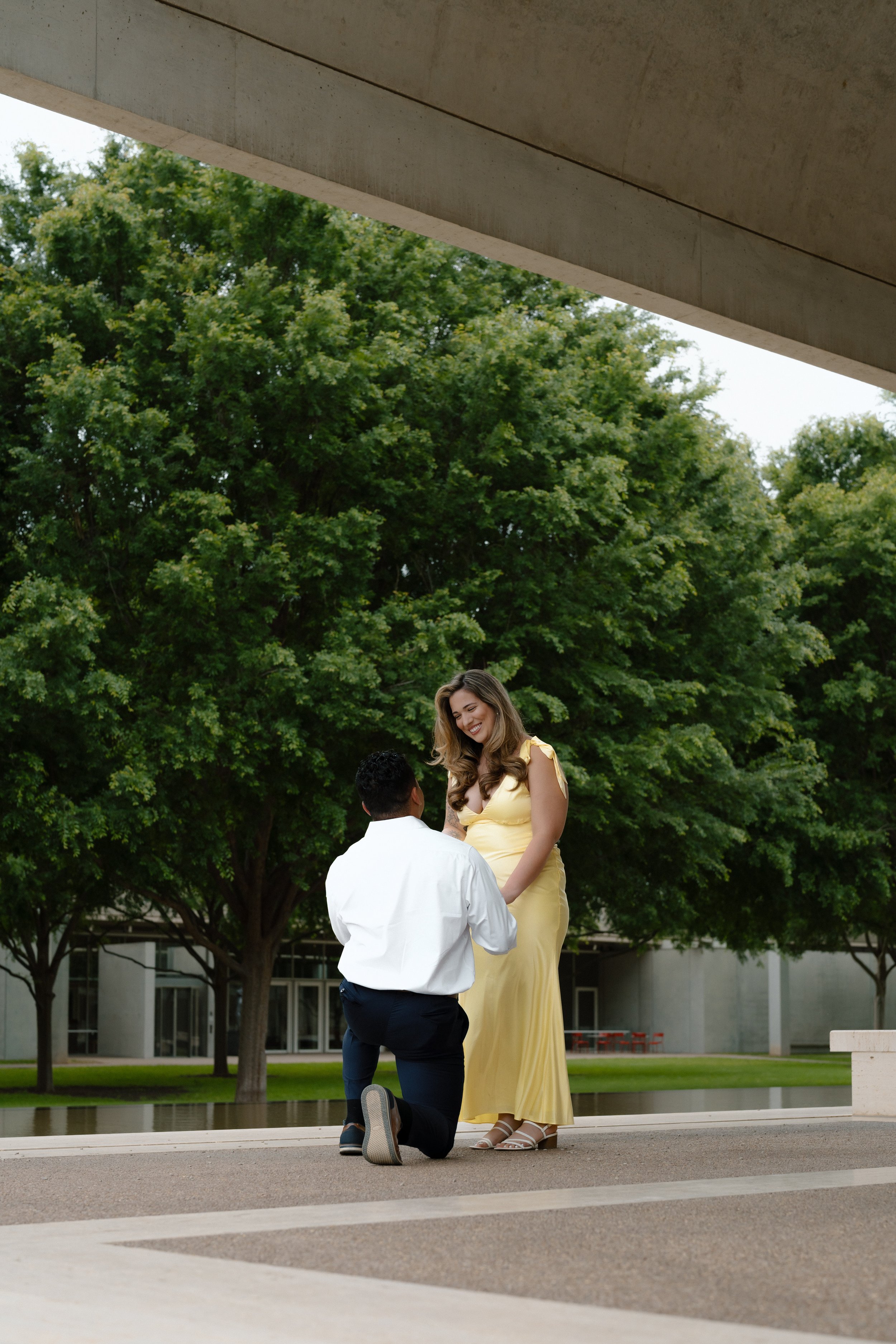 Kimbell-Art-Museum-Fort-Worth-Proposal4.jpg