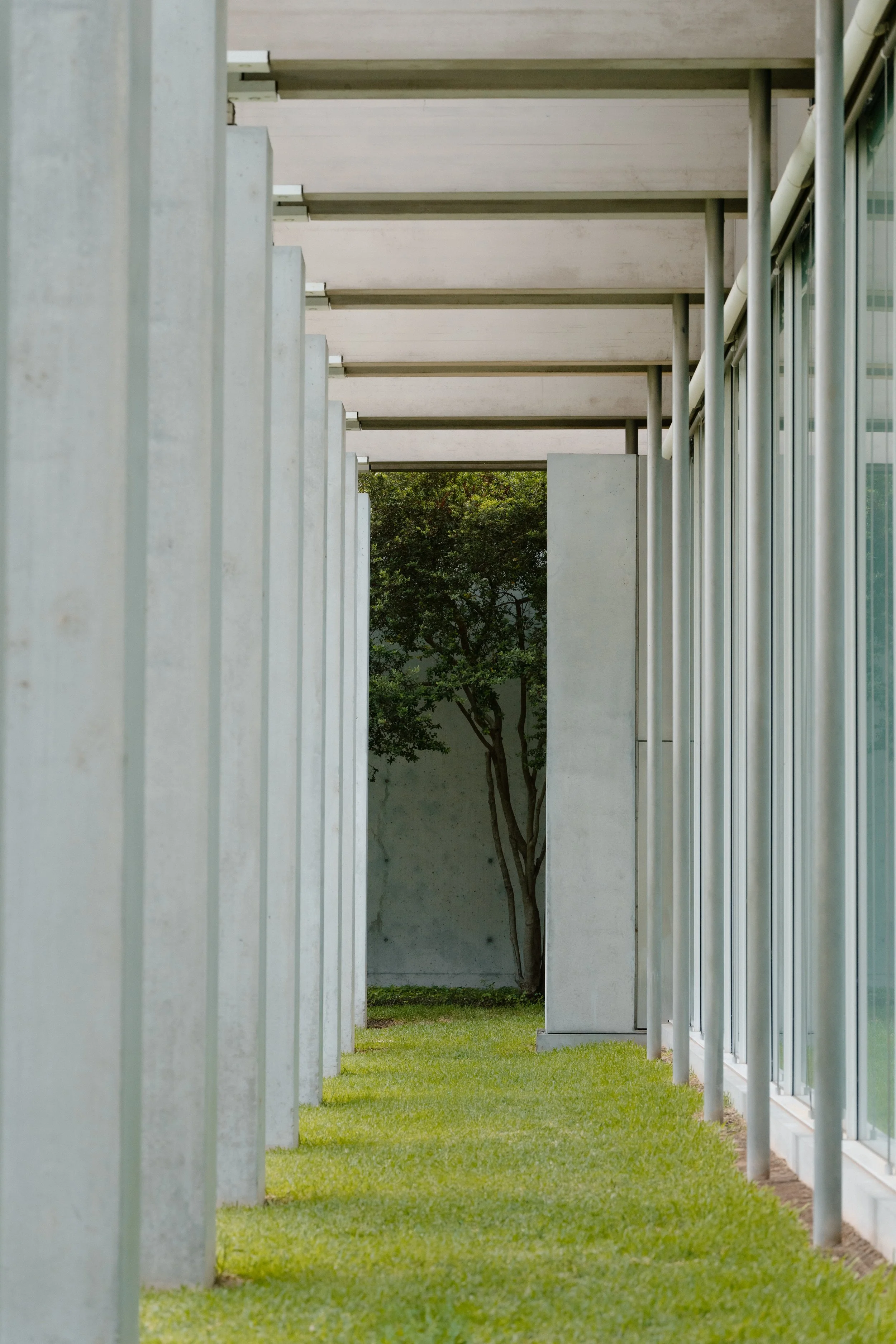 Kimbell-Art-Museum-Fort-Worth6.jpg