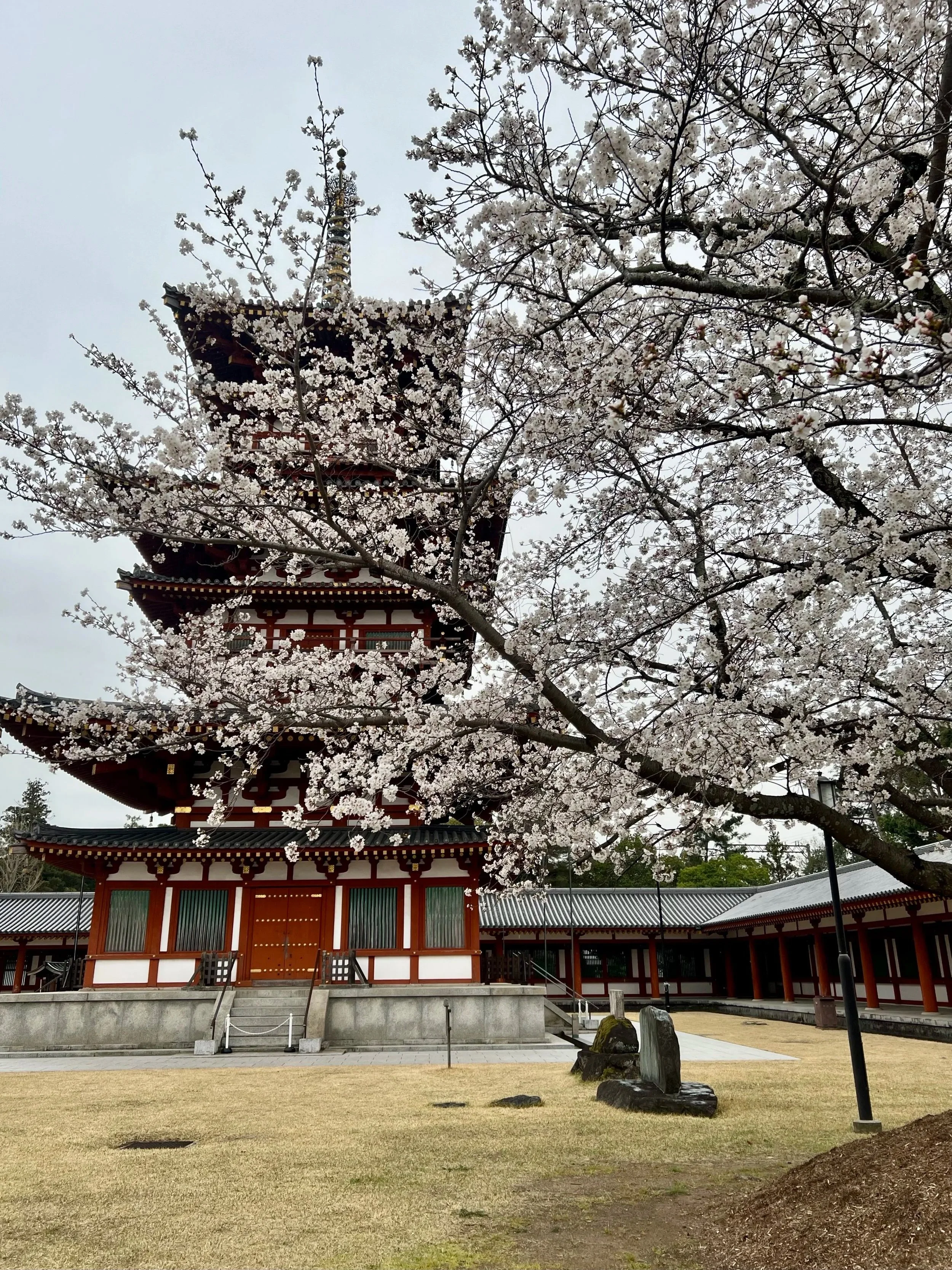 Yakushiji Temple, Nara