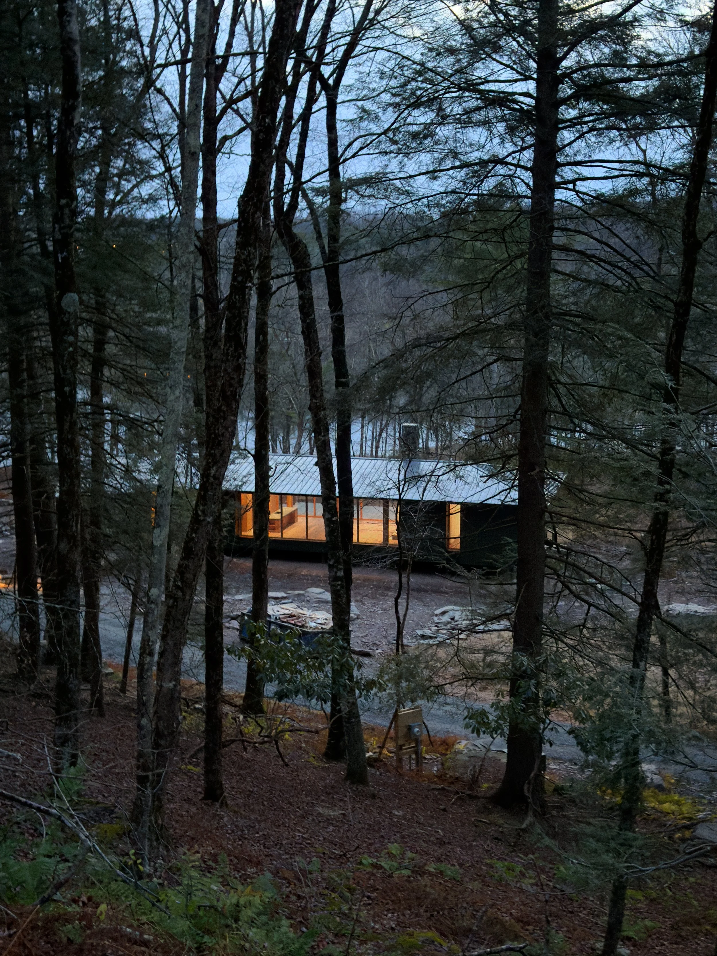 Modern cabin with large windows illuminated from inside, nestled among tall trees in a forest at dusk.