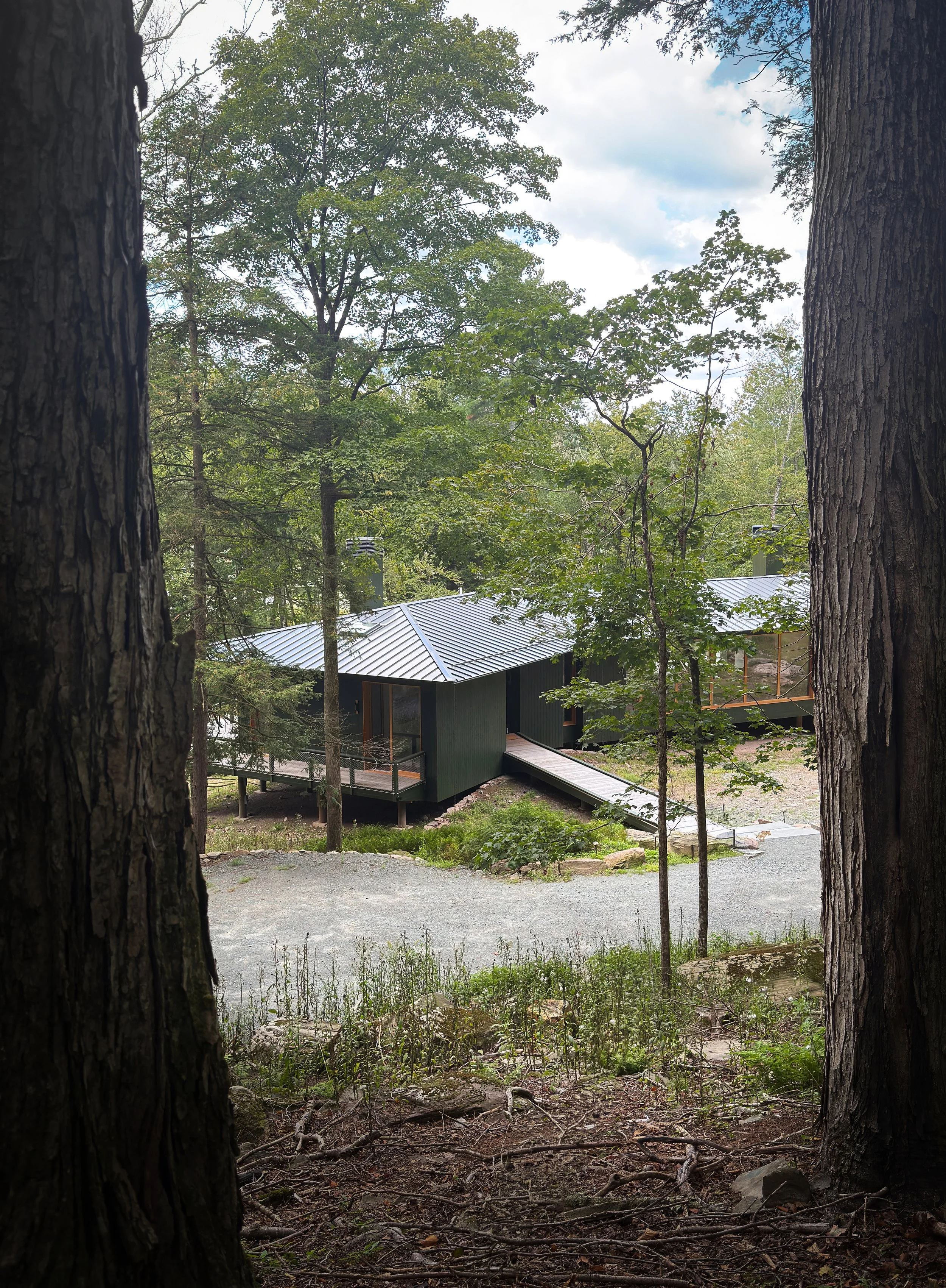 A house with a metal roof, surrounded by trees, in a wooded area.