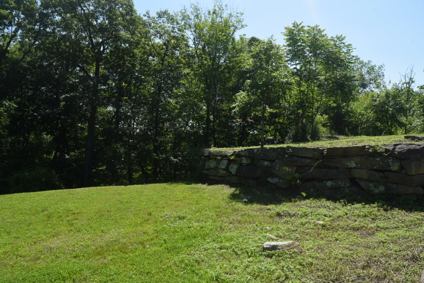 A grassy area with a stone retaining wall on the right, and a background of trees with lush green leaves under a clear blue sky.