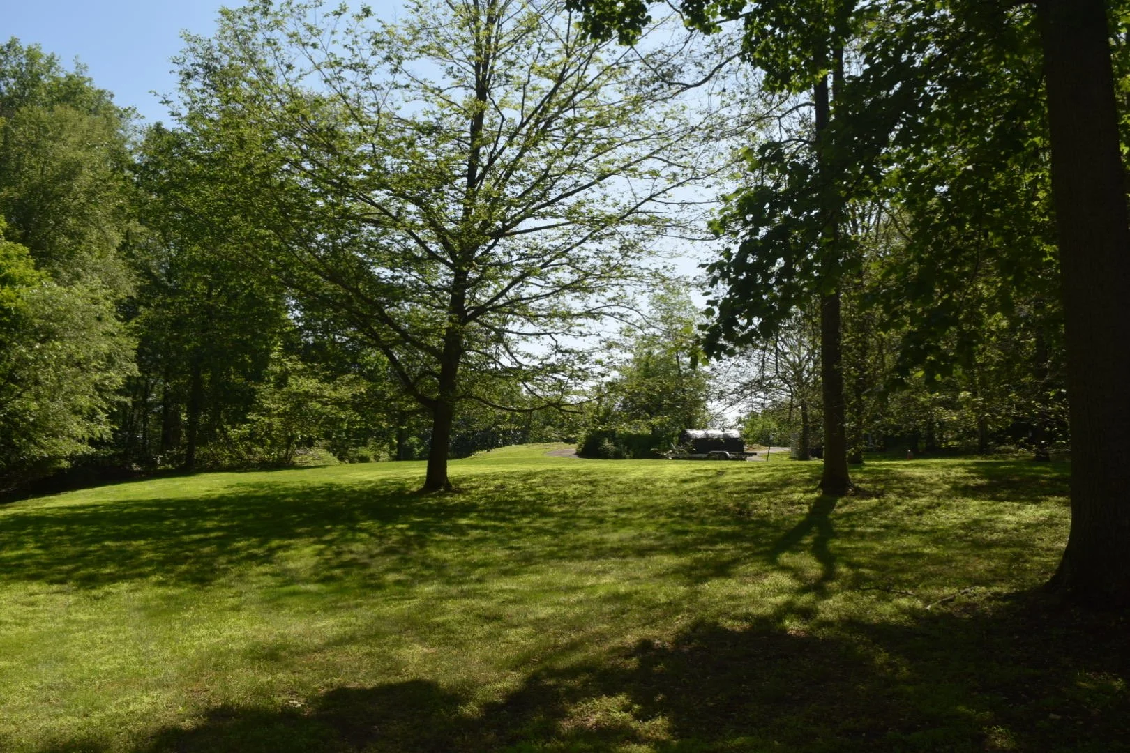 A sunny park scene with lush green grass, several trees casting shadows, and a distant car near a small building under a clear blue sky.