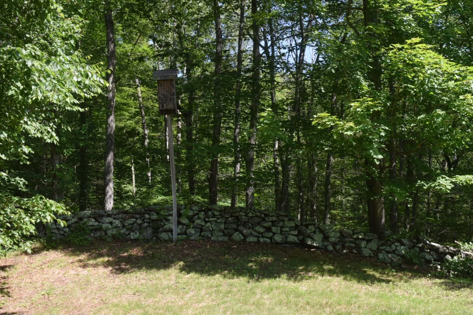Wooden birdhouse on a pole in front of a stone wall, surrounded by green trees and grass.