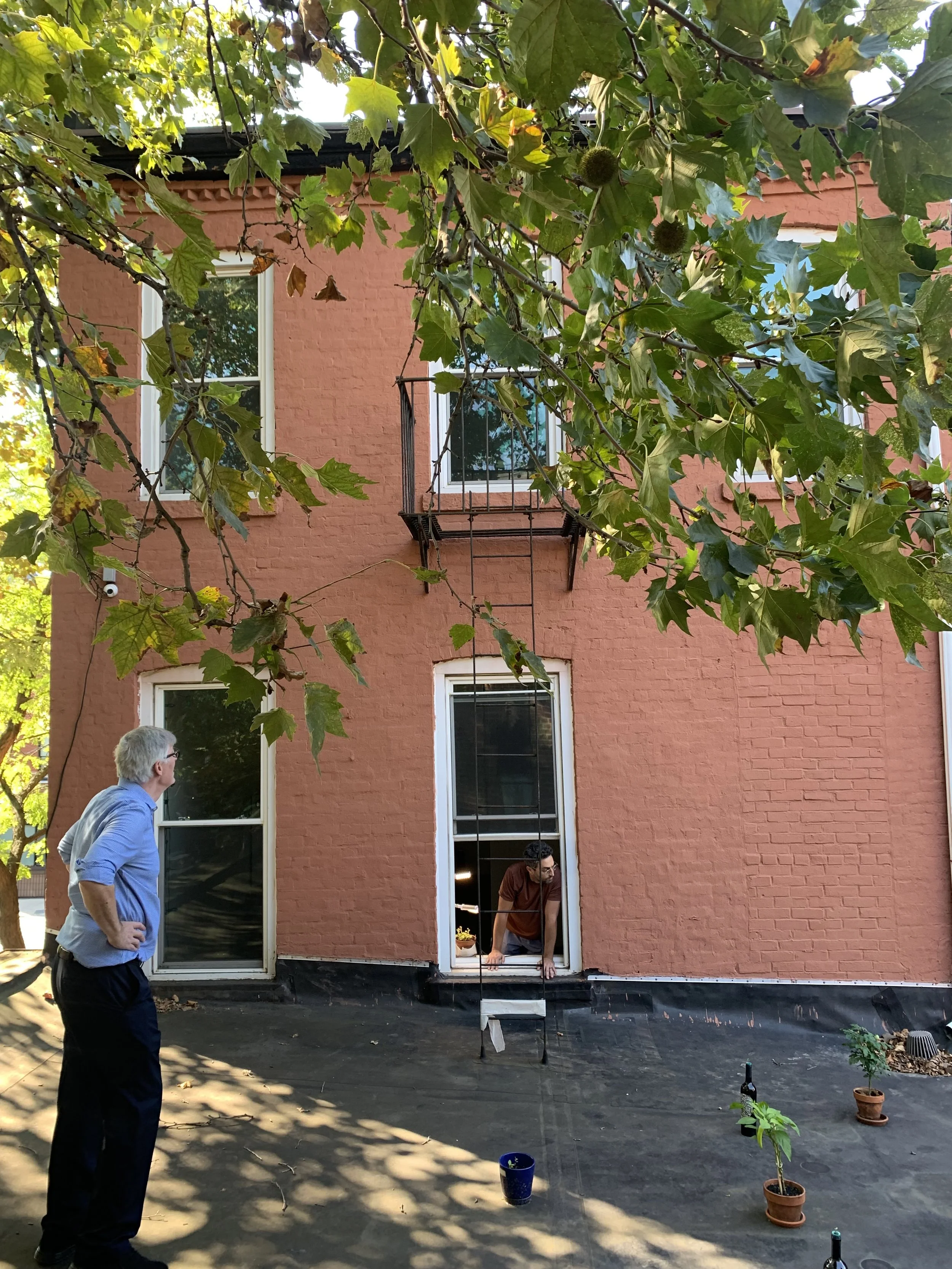 Two men are playing a game of beer pong outside on a black surface, with potted plants and a bottle nearby. One man in a blue shirt stands watching, while the other, in a brown shirt, leans out of a window of a pink brick building.