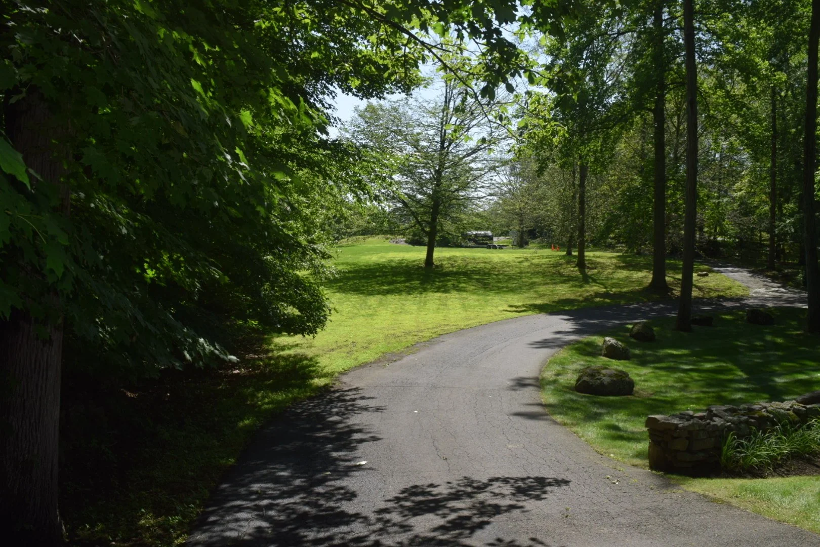A winding paved pathway through a lush green park with trees and grass, sunlight casting shadows.