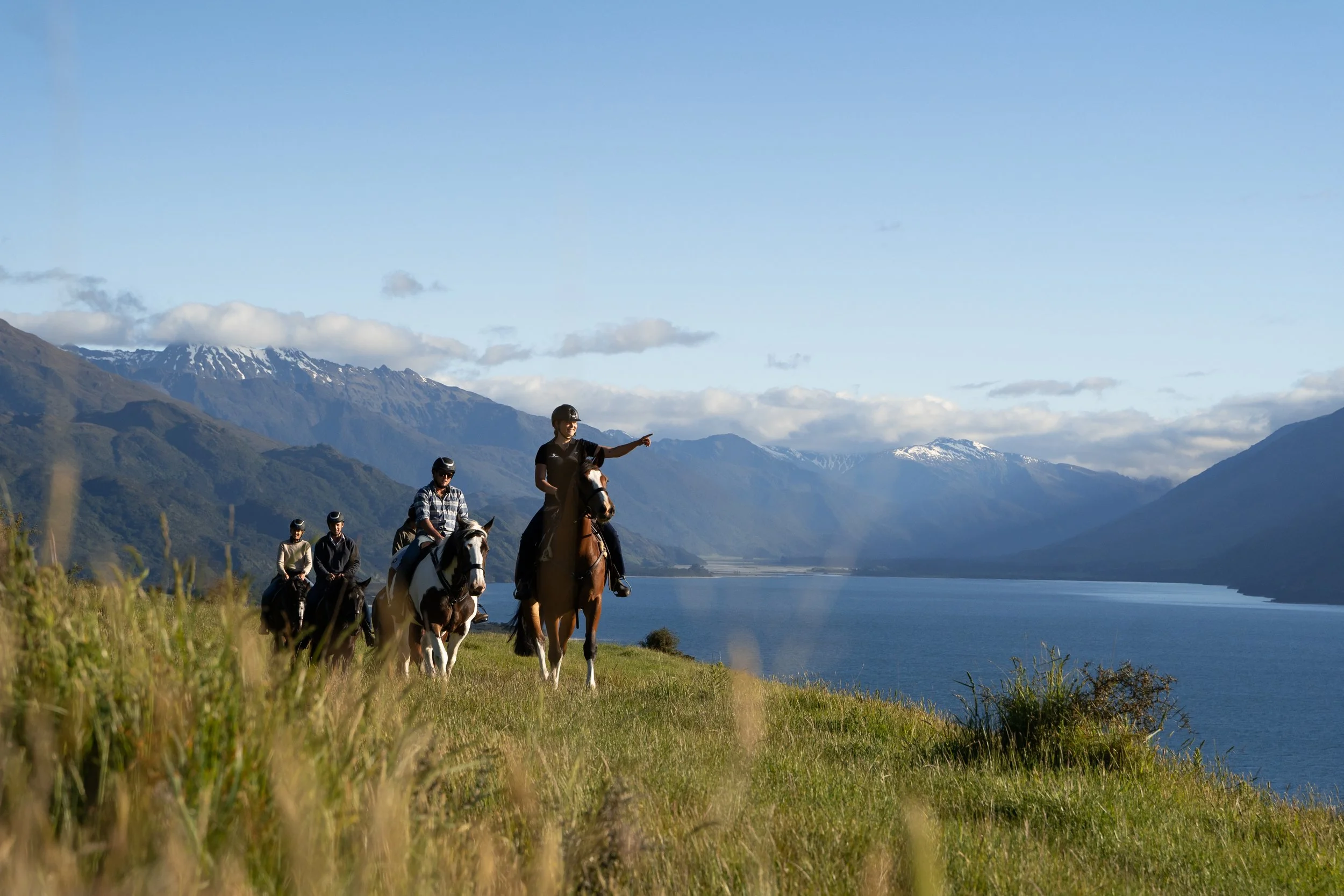 Meet the Horses of Minaret Station