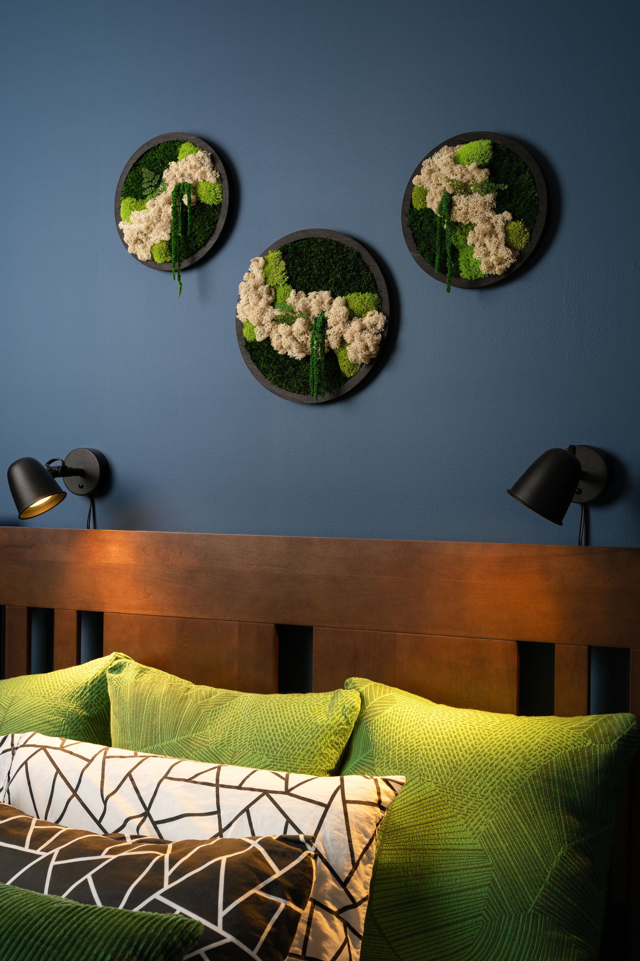 Biophilic wall art discs in a boy's bedroom