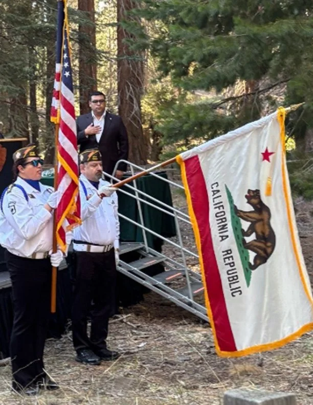 sequoia big trees 3.jpg