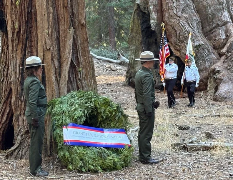 sequoia big trees 5.jpg